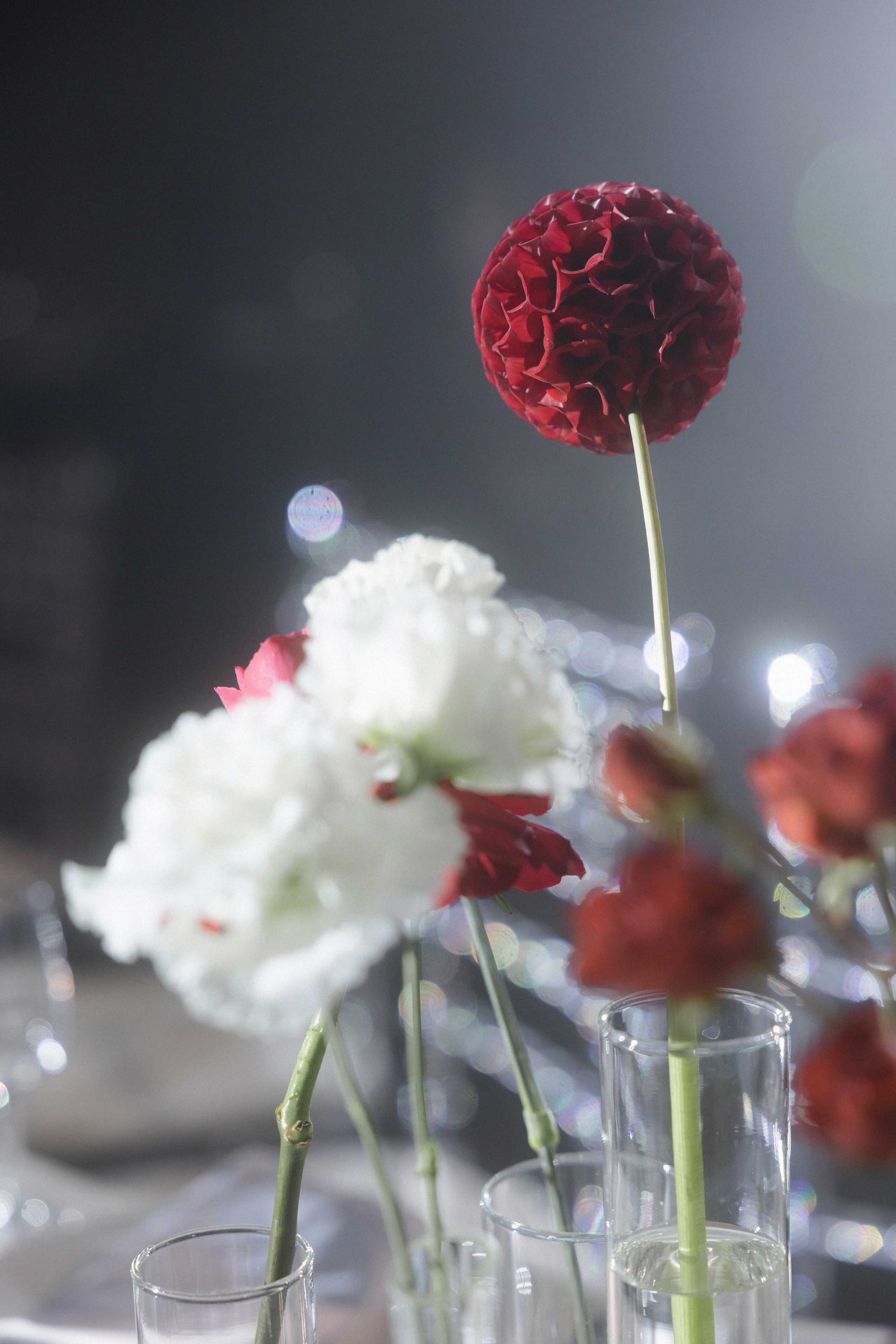 Саша и Наташа. Свадебный фотограф в Рязани и Москве Евгения Жмурова