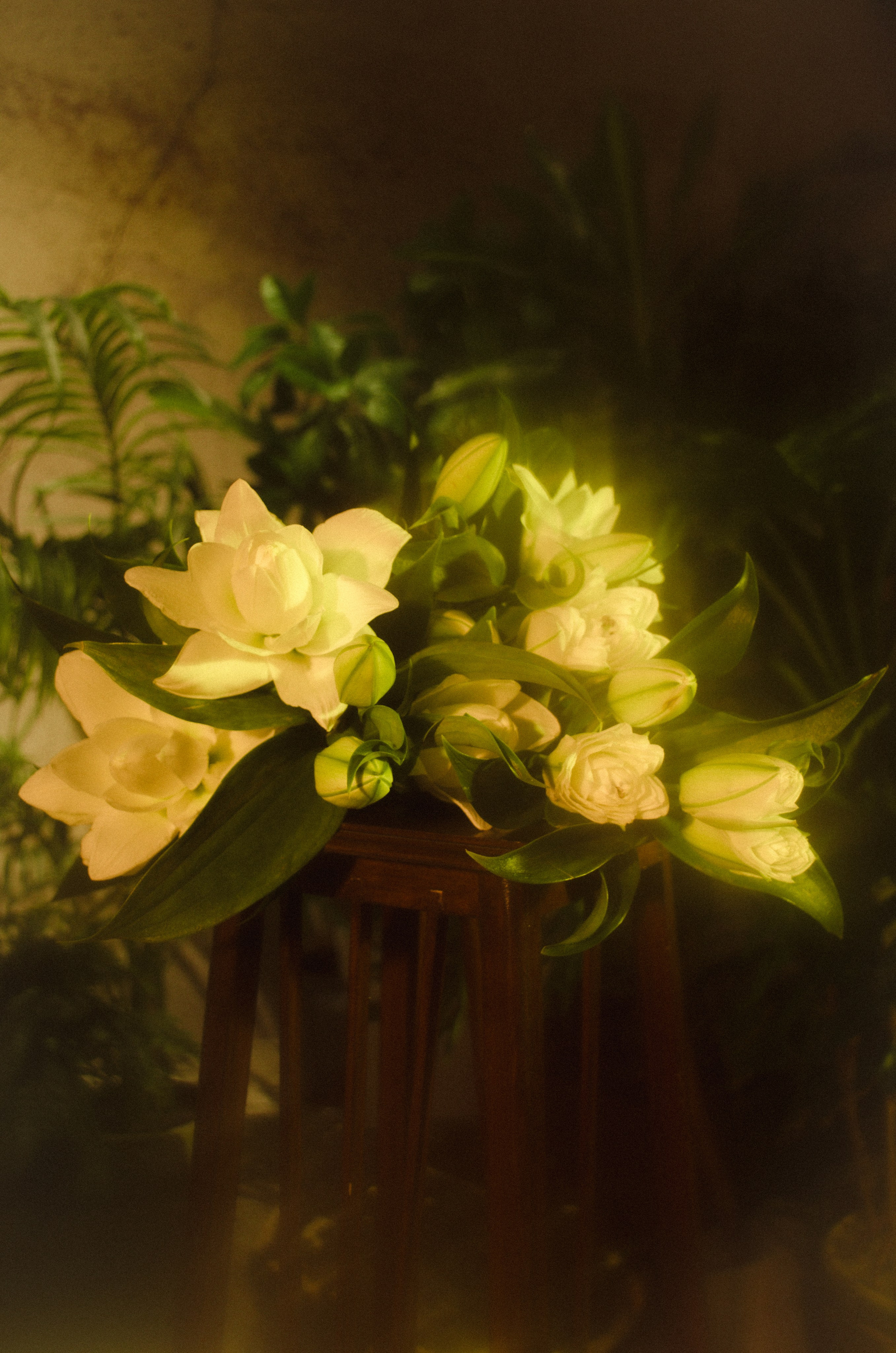 Дарья. Фотограф Валерия Пэун