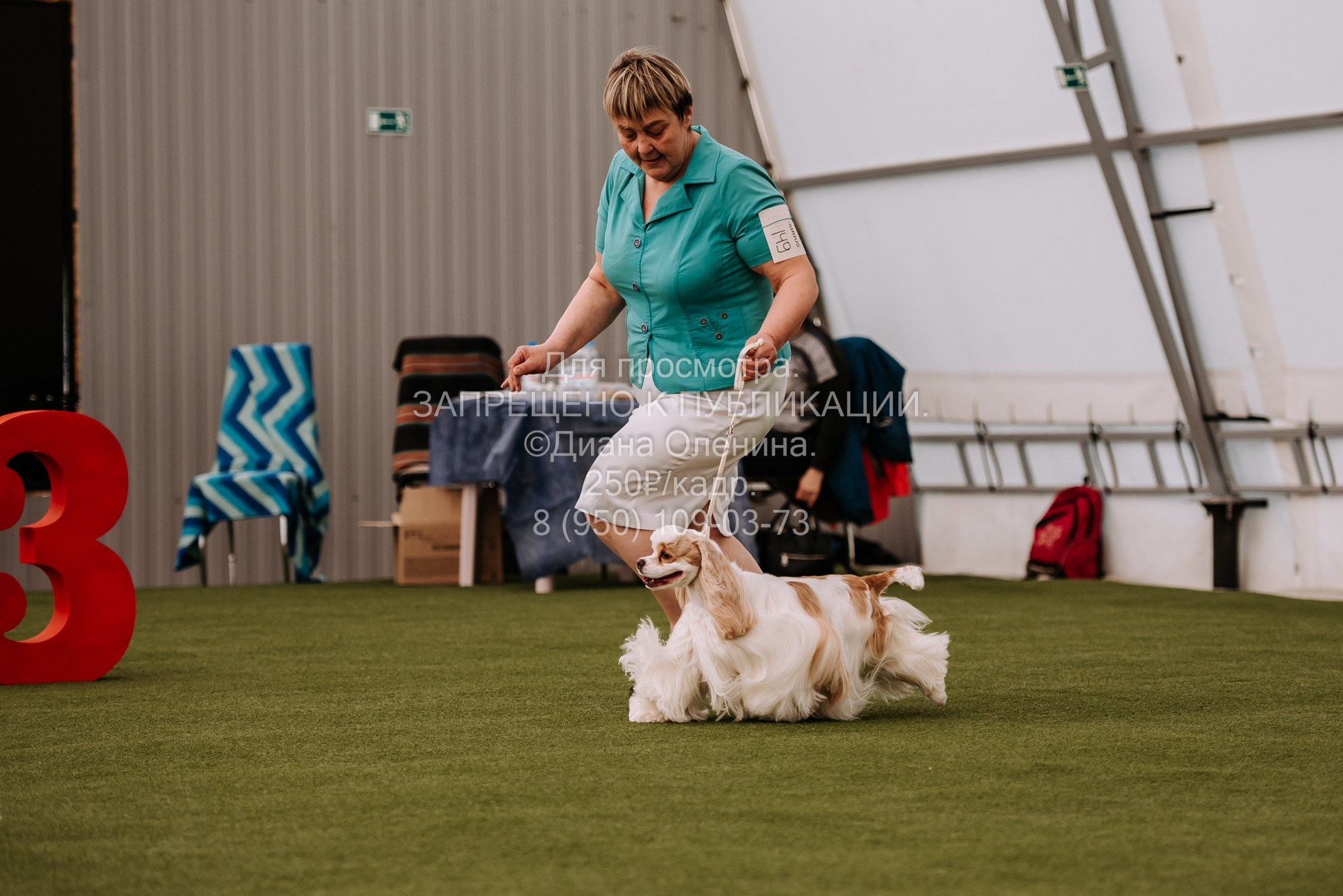Выставка собак Красноярск 2.06. Фотограф Диана Оленина Красноярск / Братск