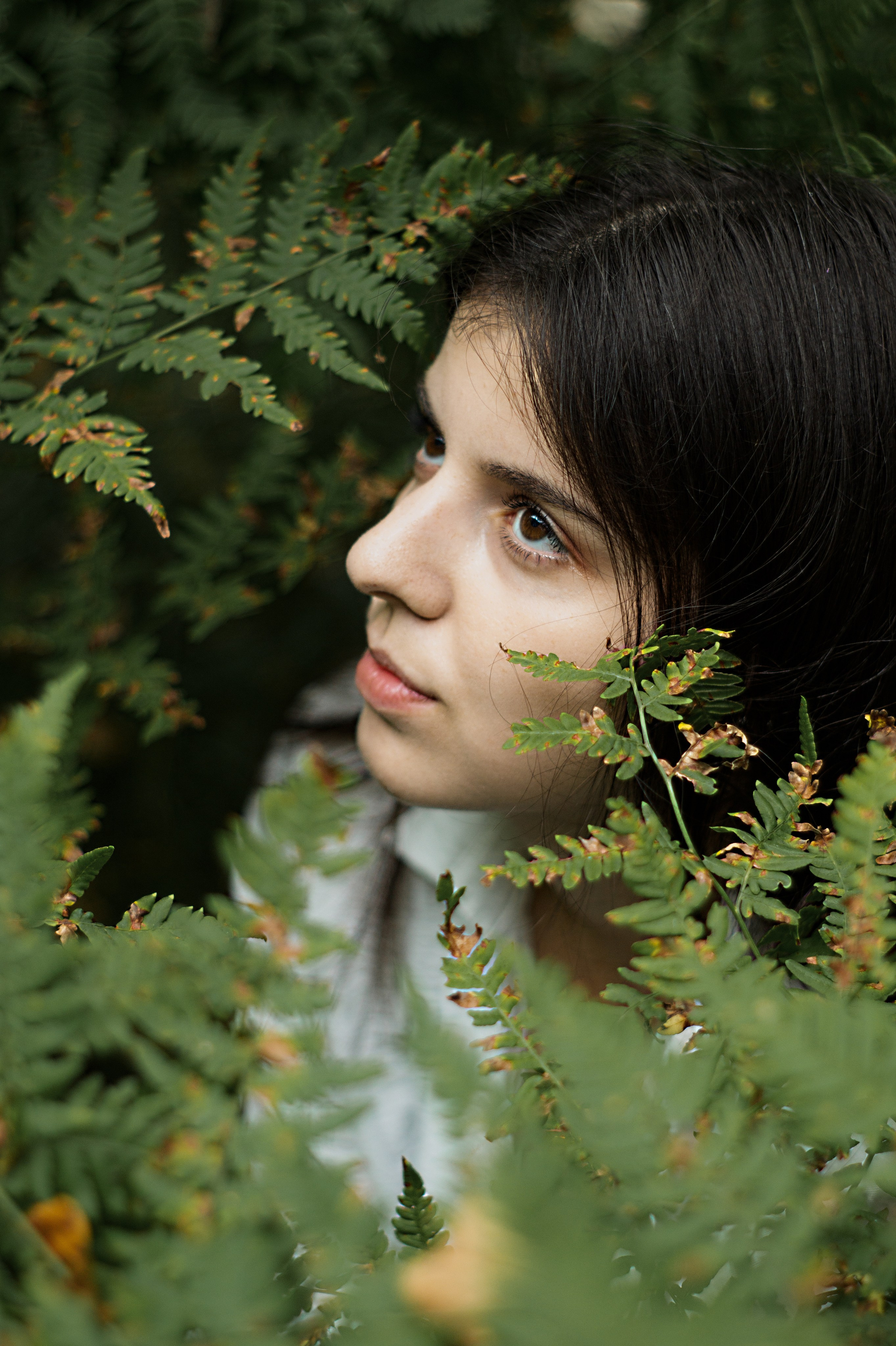 Папоротник. Фотограф Москва