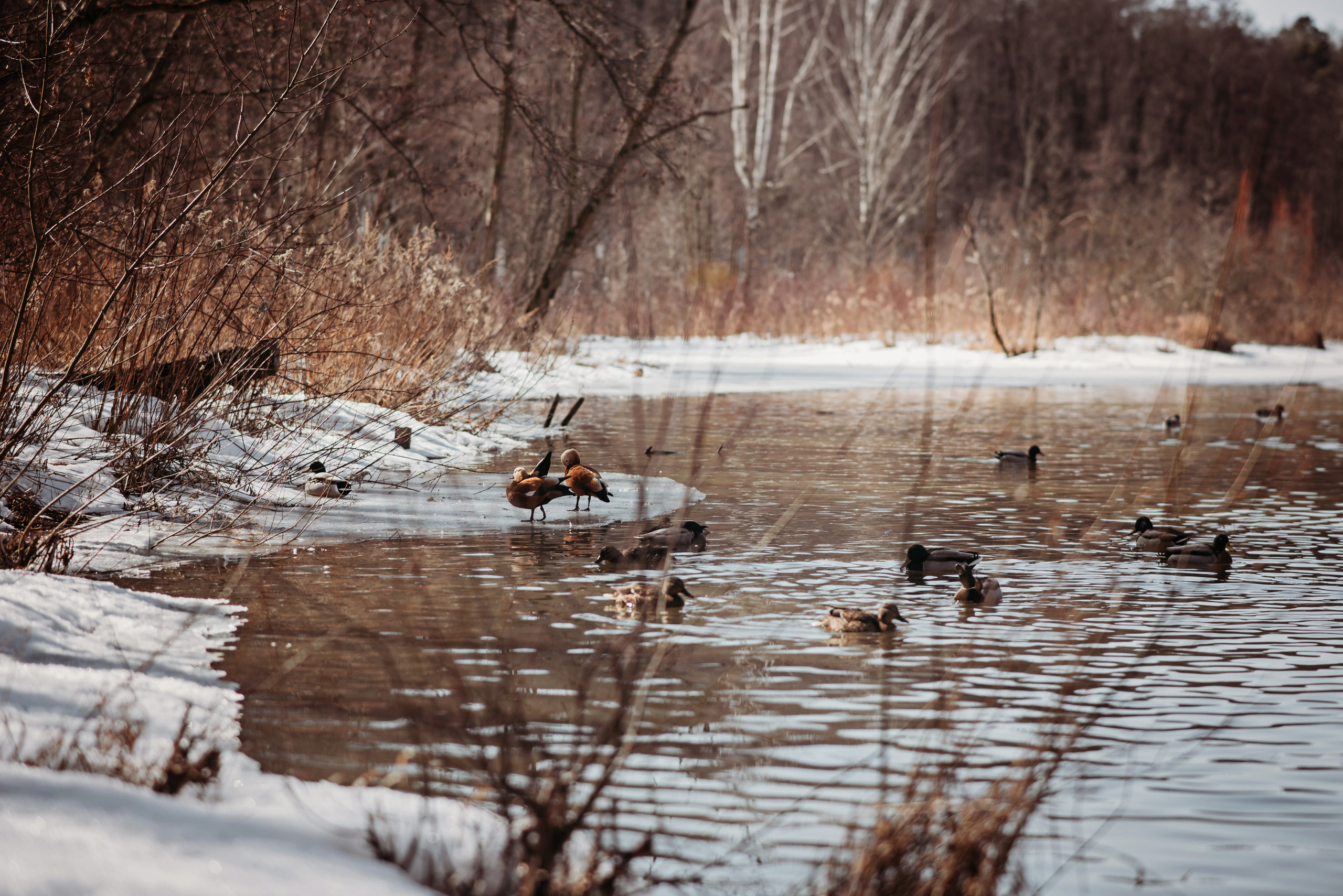 Весне дорогу! Юлия с Евой. Детский и семейный фотограф выпускной альбом Приморско-Ахтарск