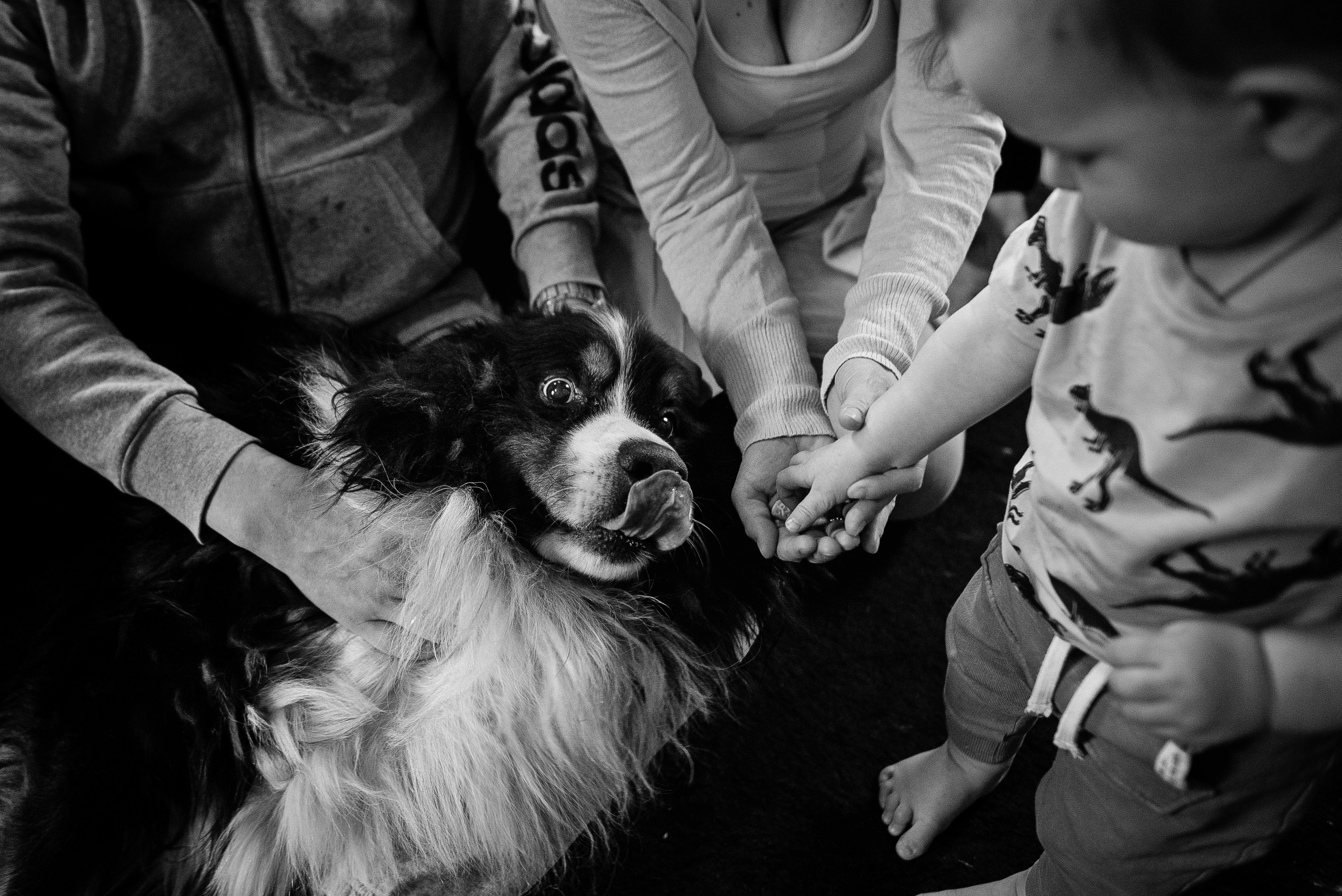 Счастье в большом доме. Детский и семейный фотограф выпускной альбом Приморско-Ахтарск