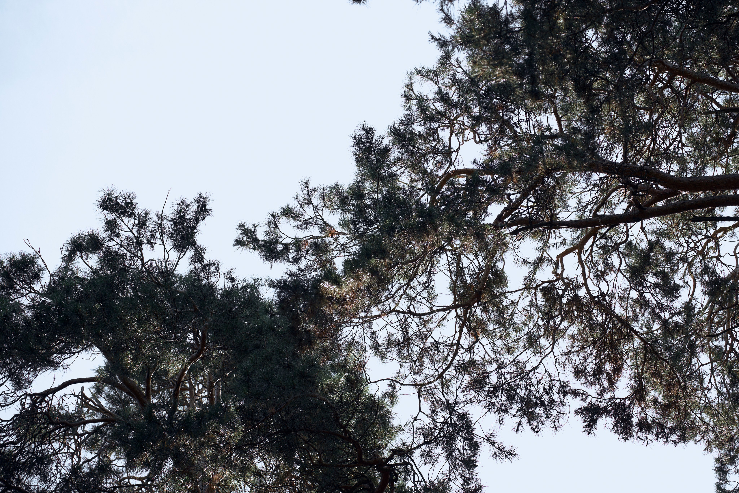 Анастасия. Ваш фотограф Анастасия Болотникова