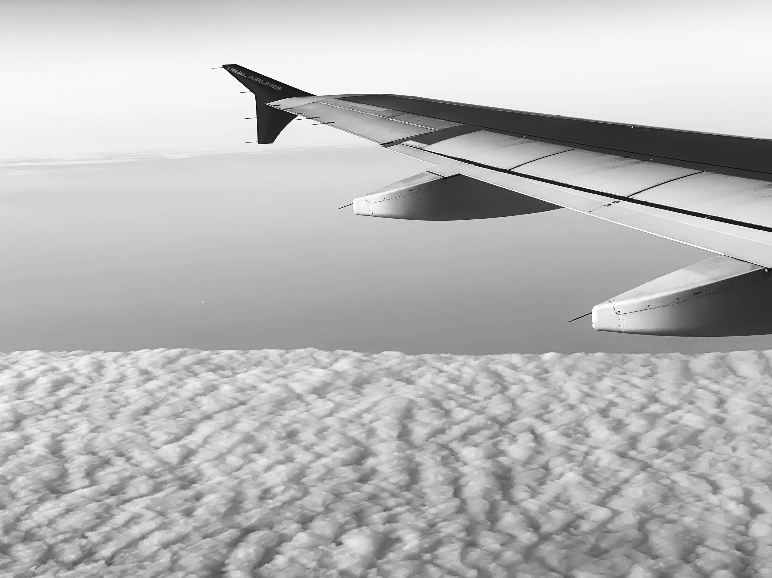 Работы с телефона. Свадебный фотограф в Москве Сафонова Анна