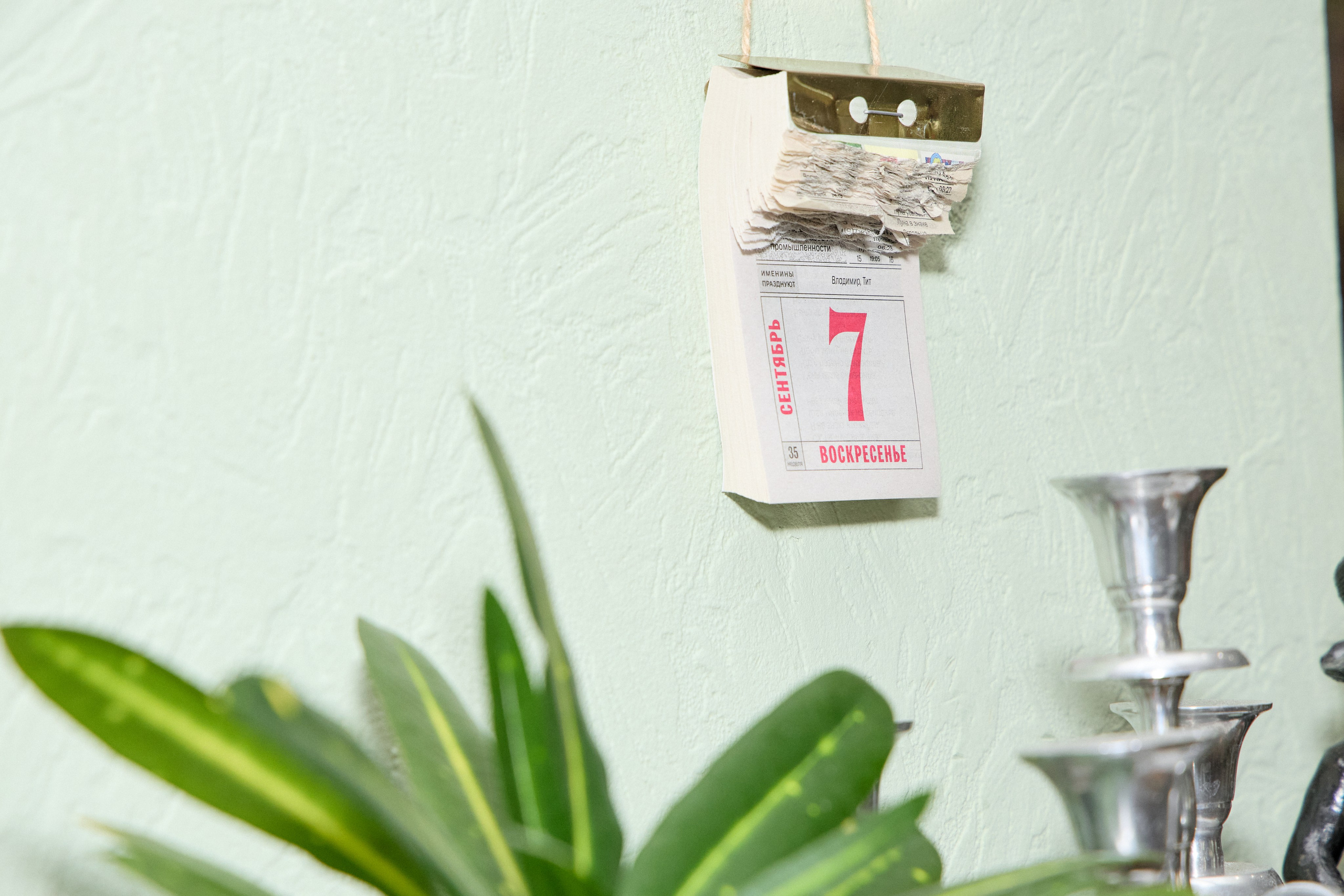 Фотосъёмка юбилея в Нижнем Новгороде — живые эмоции и красивые кадры. Фотограф Нижний Новгород Мария Китаева