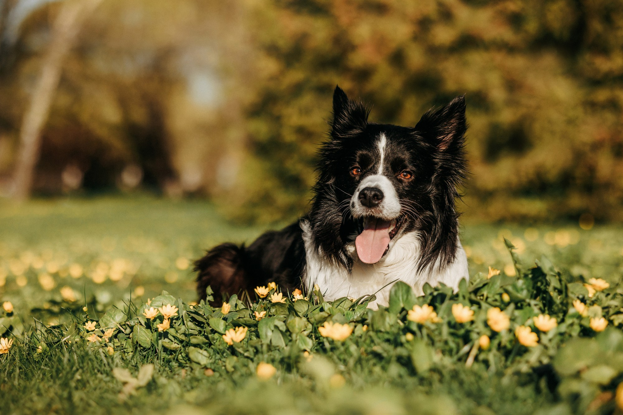 Аня и Иден. Фотограф-анималист Елена Радченко, Москва