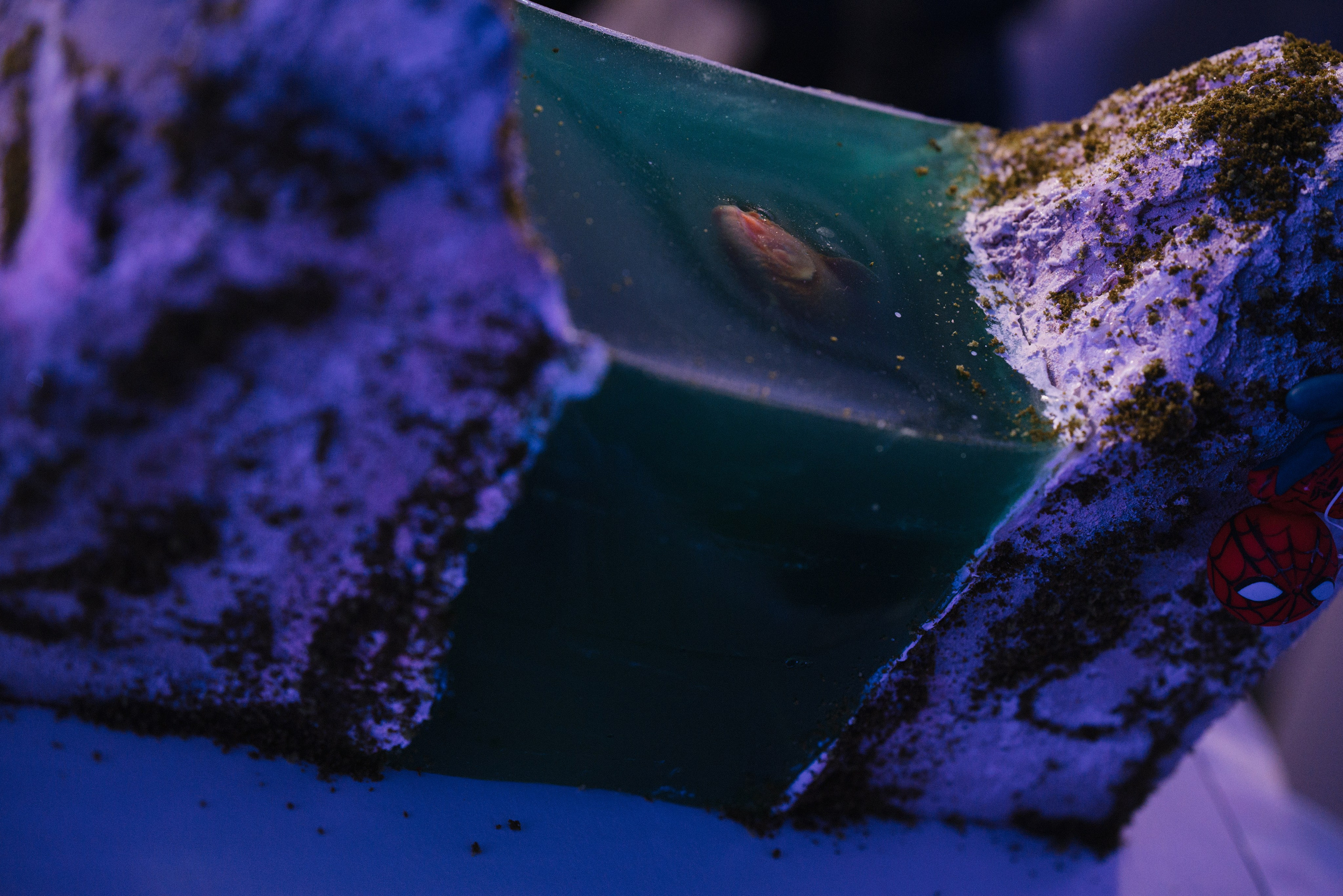 Андрей & Алёна. Свадебный, семейный, женский фотограф в Москве, Мытищах, Королёве Ксения Узилле