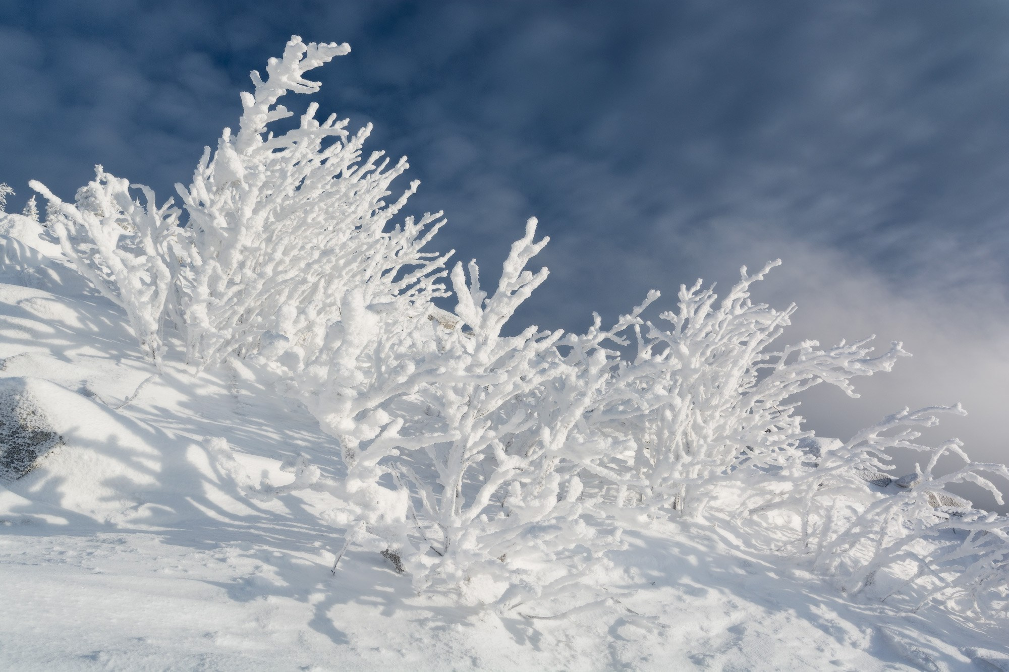 Уральский зимний лес под снегом напоминает сказку, ожившую в солнечном свете.