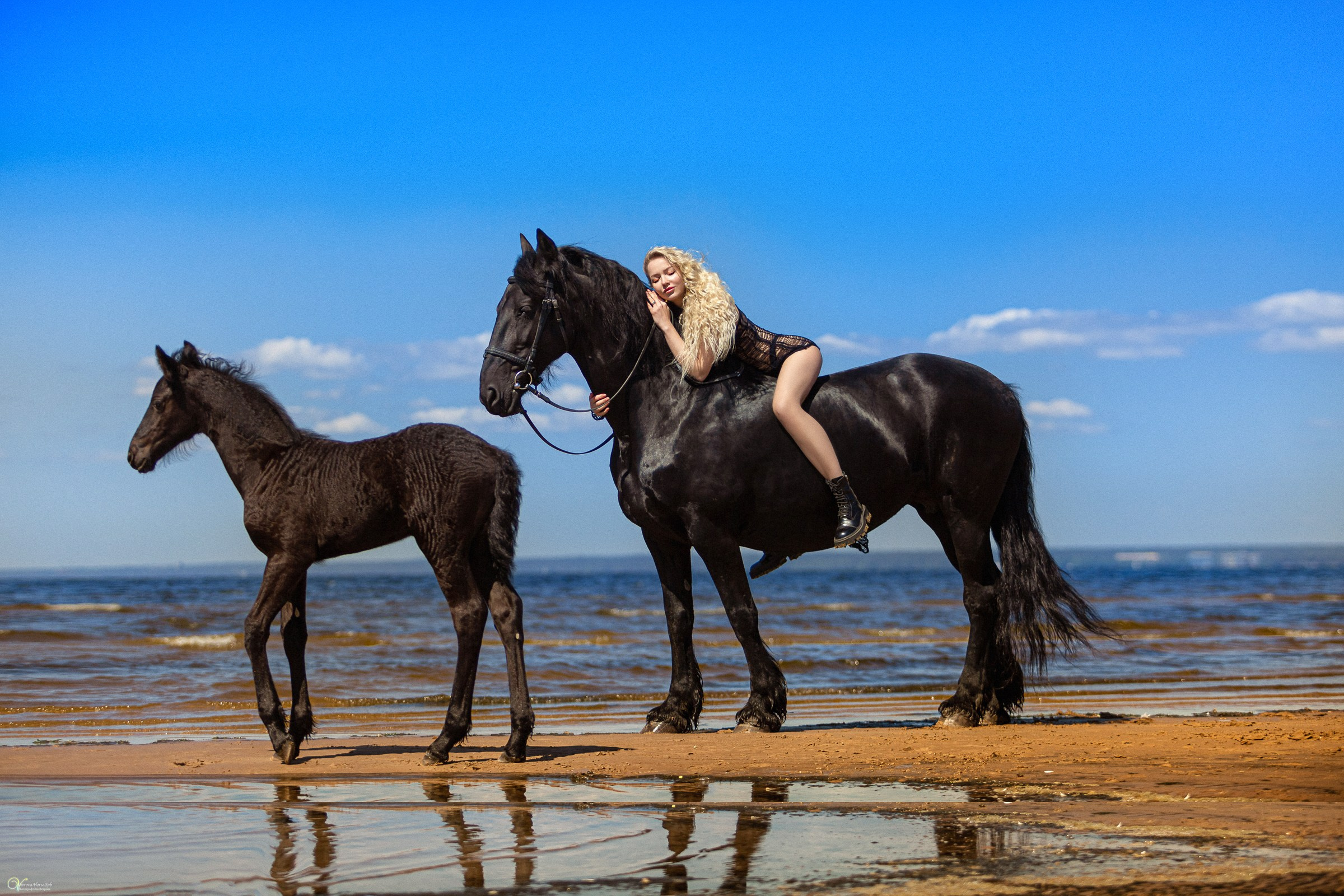 Фотосессии с лошадьми летом. Фотограф женский и мужской портрет Санкт-Петербург