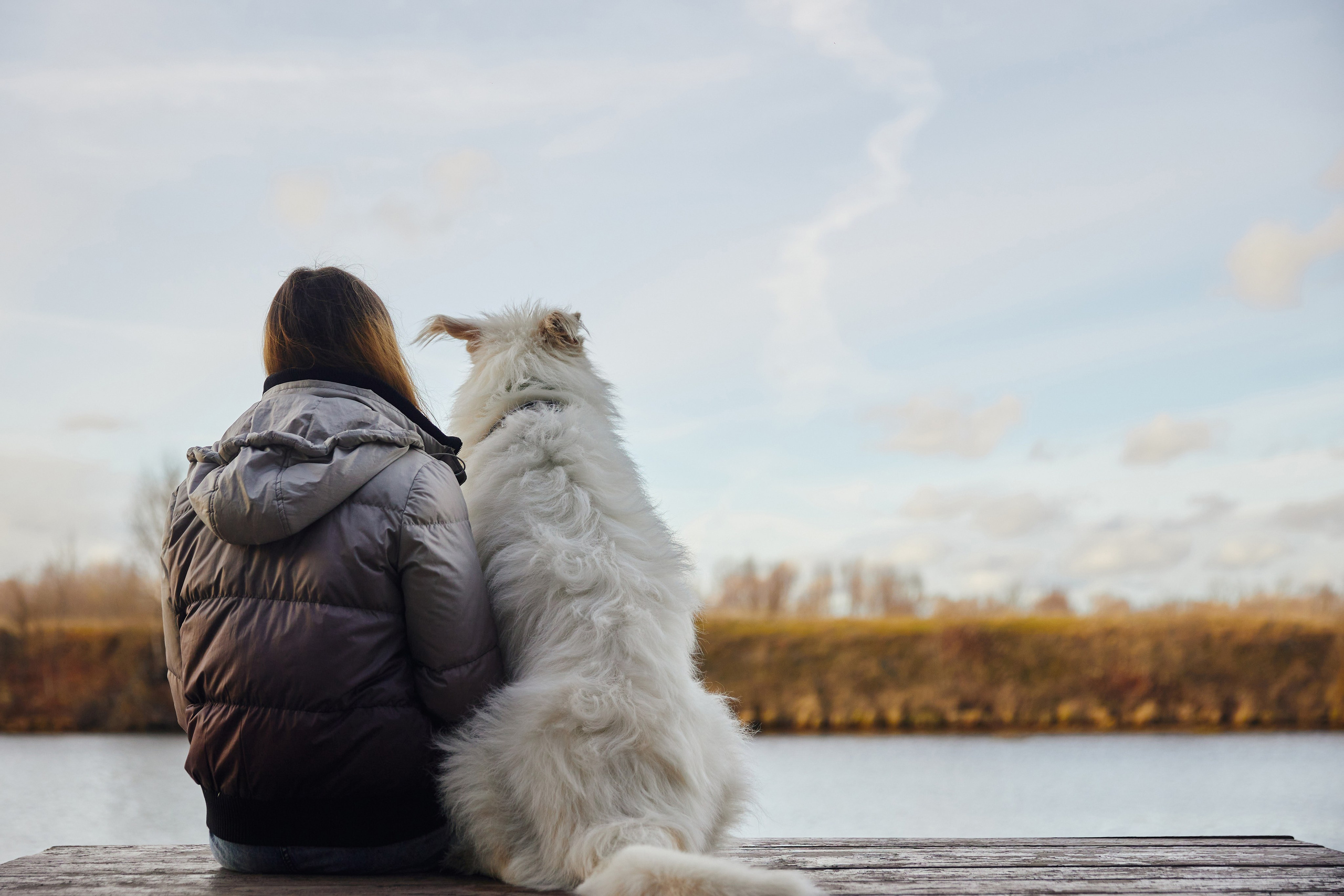 15. Фотограф Недорез Александр в Москве. Репортаж на ваших мероприятиях