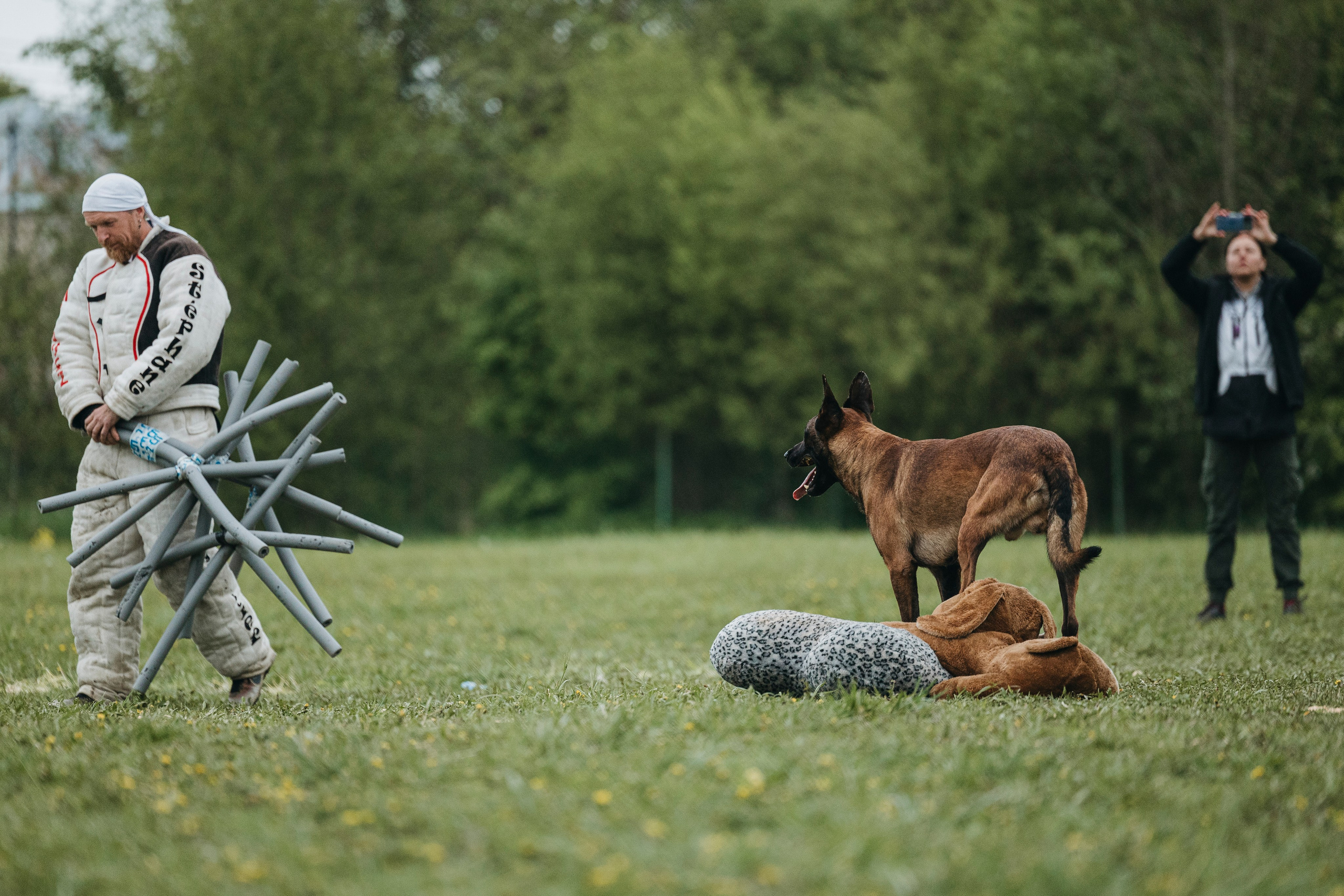 26.05.25 г. Пушкин квалификационные соревнования. Фотограф-анималист Анна Маринич