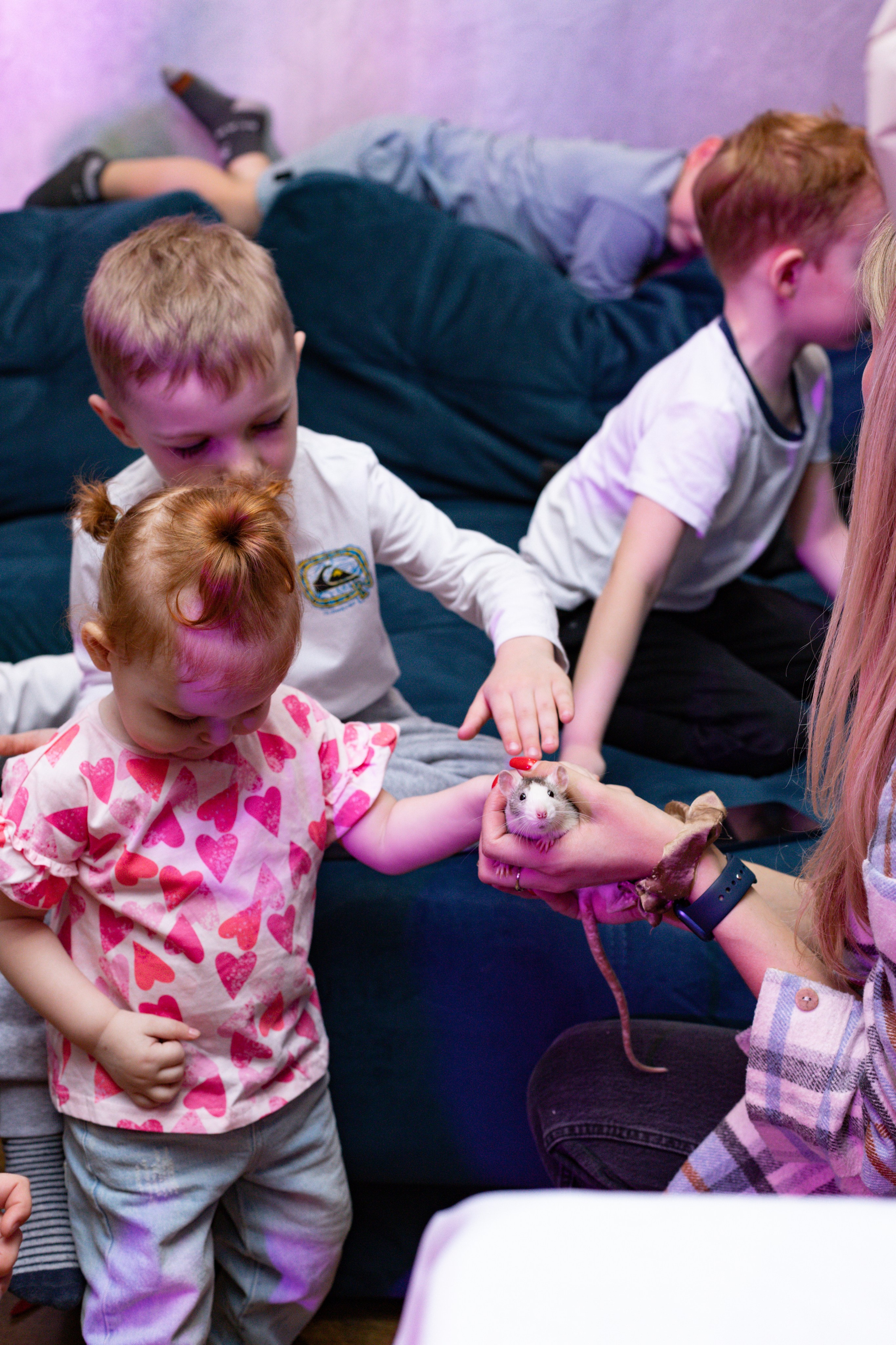 ZAHAR 5 YEAR / BIRTHDAY. Photokarish