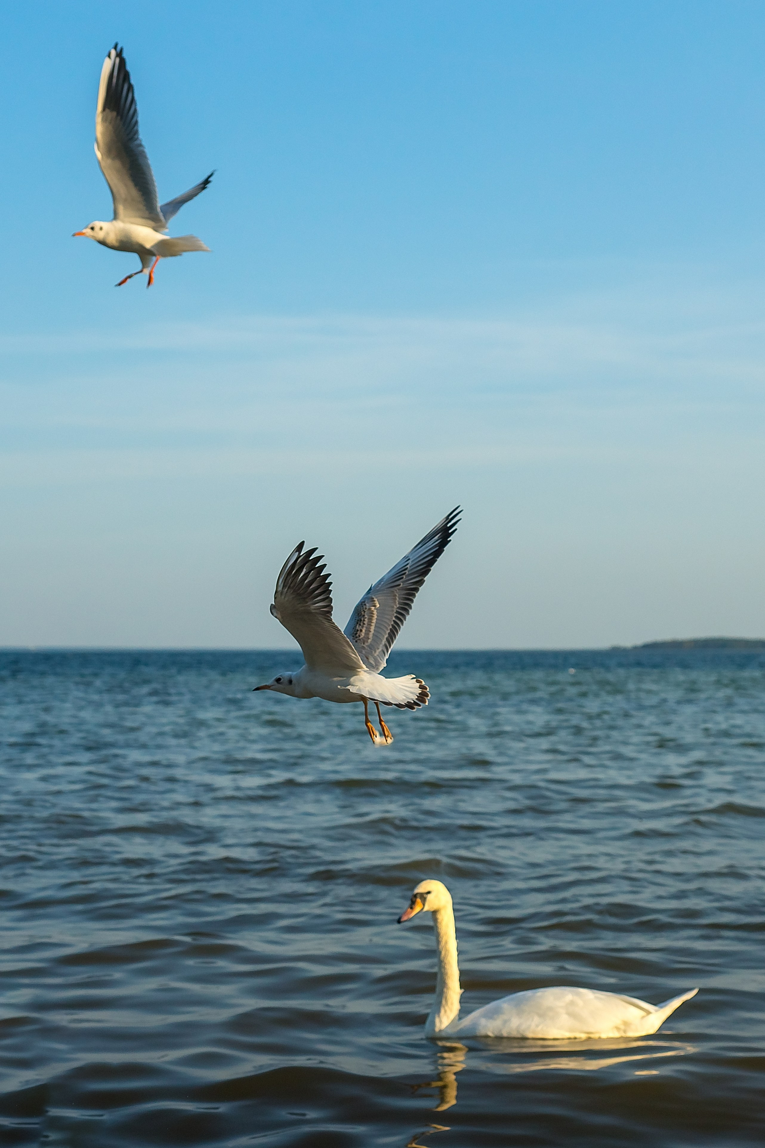 На озере Нарочь. Белоруссия
