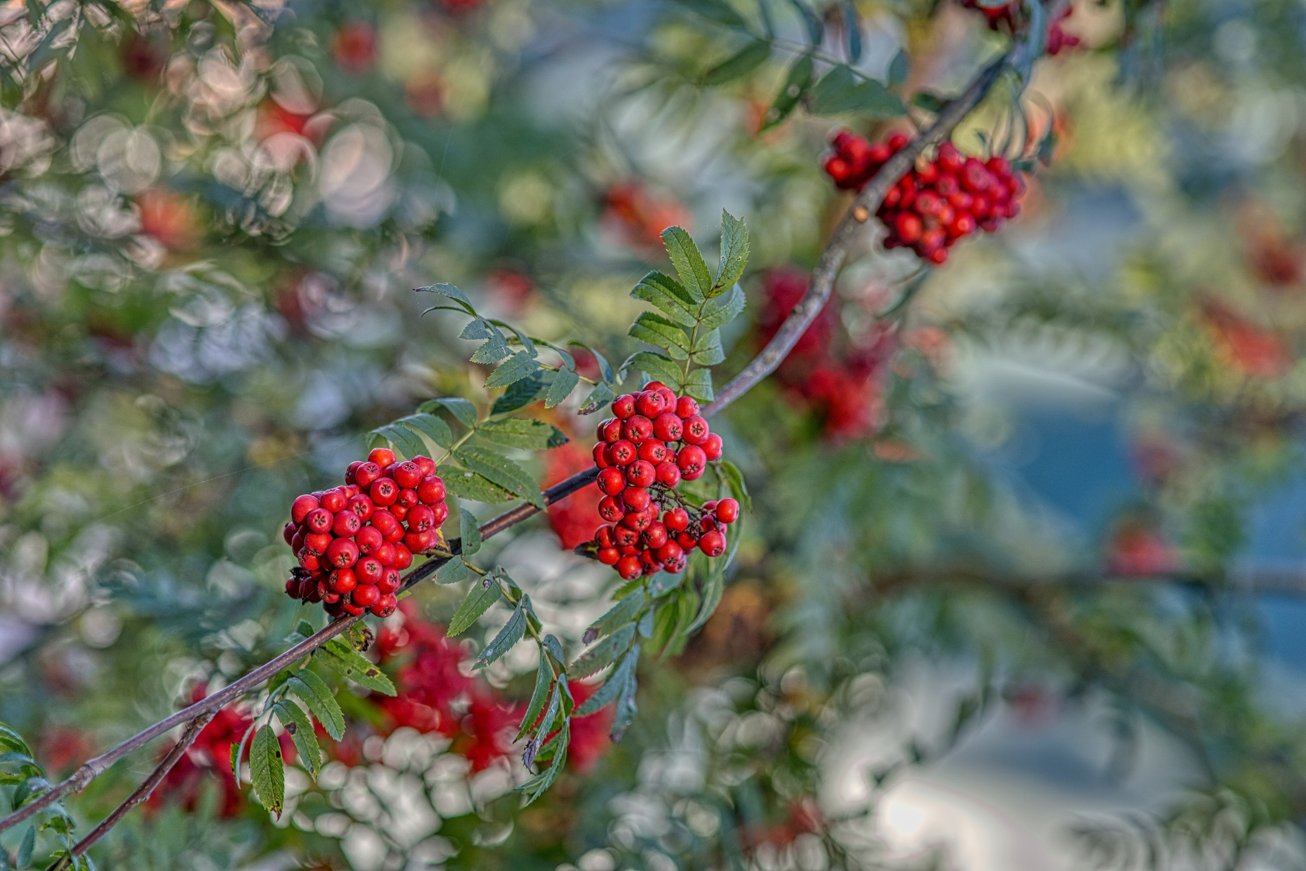 На озере Нарочь. Белоруссия