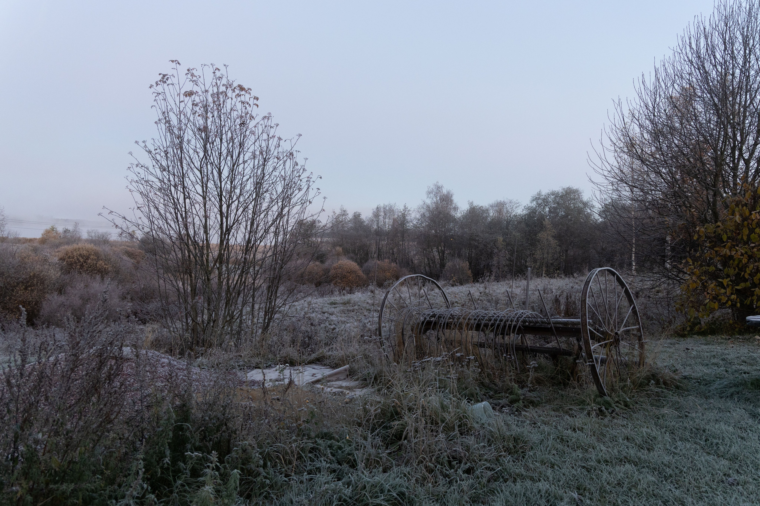 Природа Карелии октябрь 2025. Портретный и семейный фотограф Санкт-Петербург