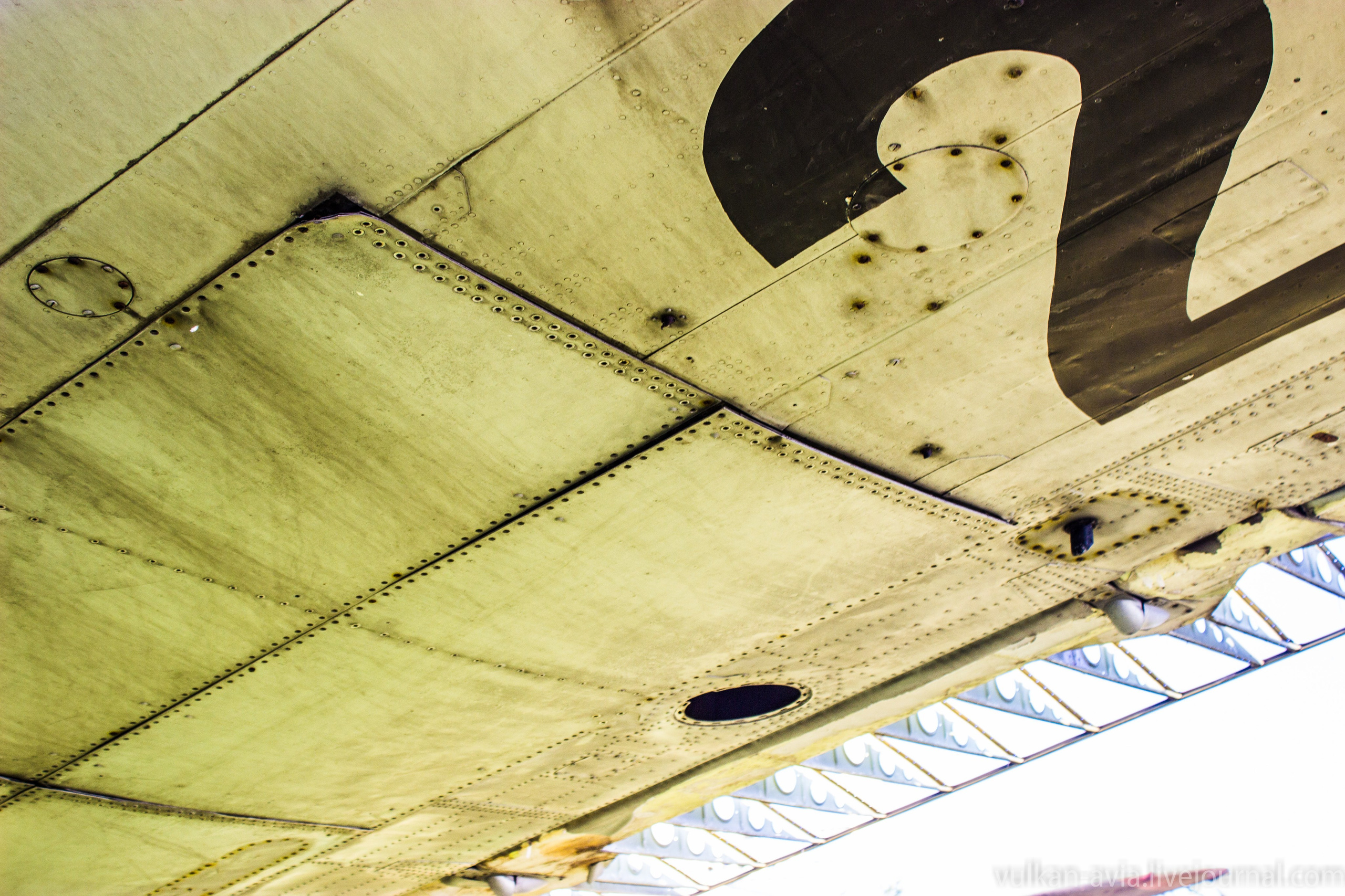 Ил-14 (Пермь, Фролы). Фотоальбом показывающий увлекательный мир авиации и мир медведей Андрея Иванова