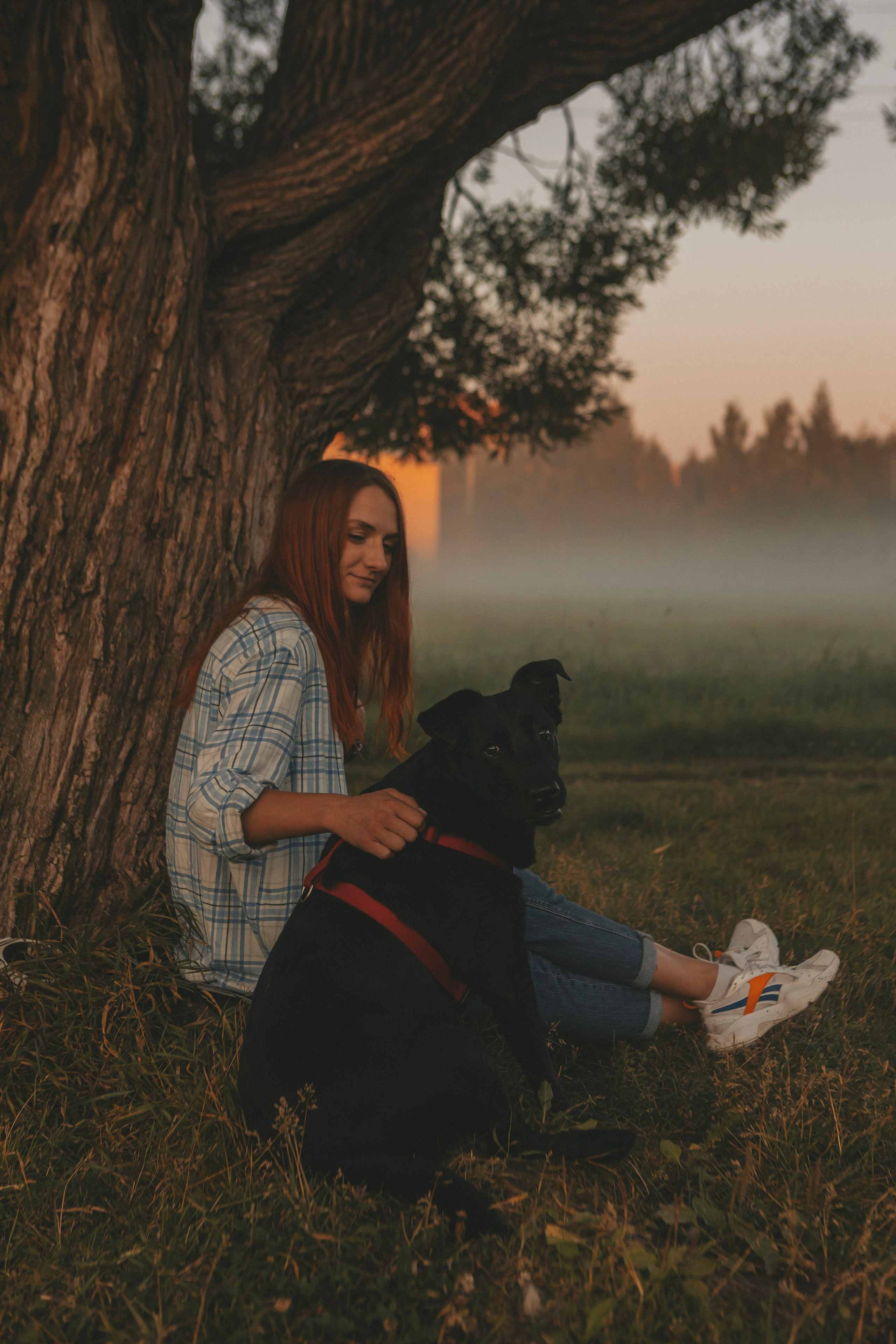 Саша и Дана. Фотограф-анималист в Санкт-Петербурге Алина Яхонт