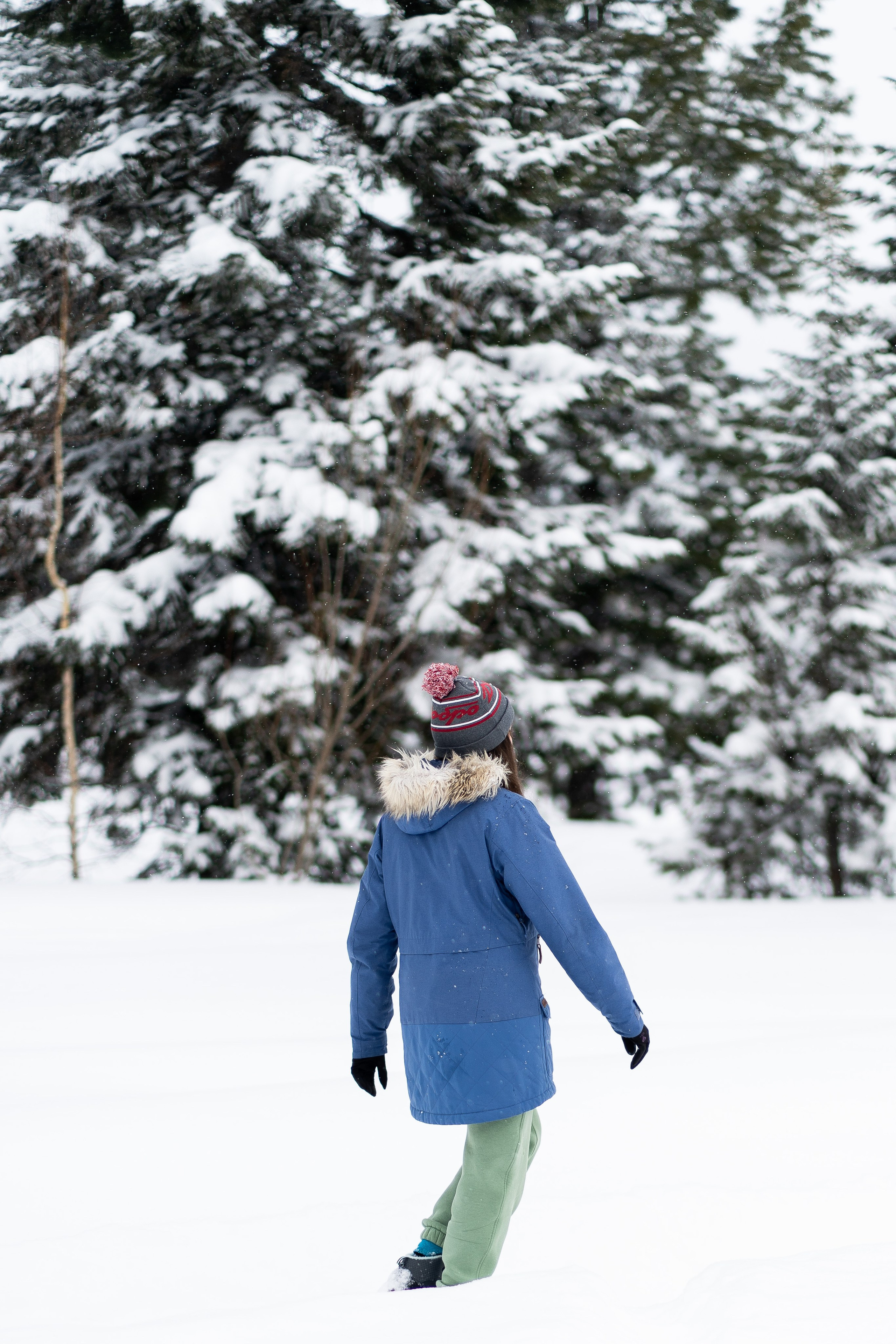 Соня&Лёня. Анастасия Паршукова — фотограф Шерегеш Новосибирск