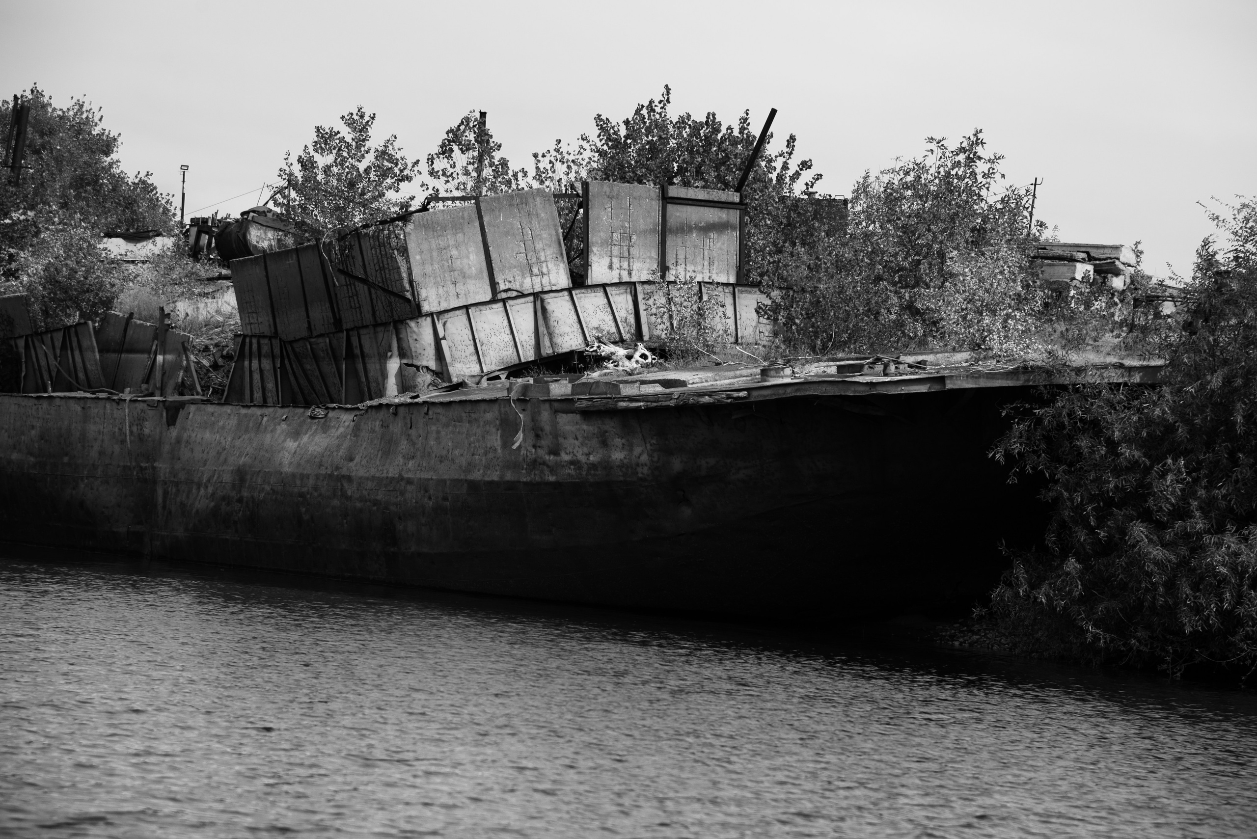 Репортажная фотосъёмка в Волгограде. Свадебный, портретный фотограф в Волгограде Ермашова Дарья