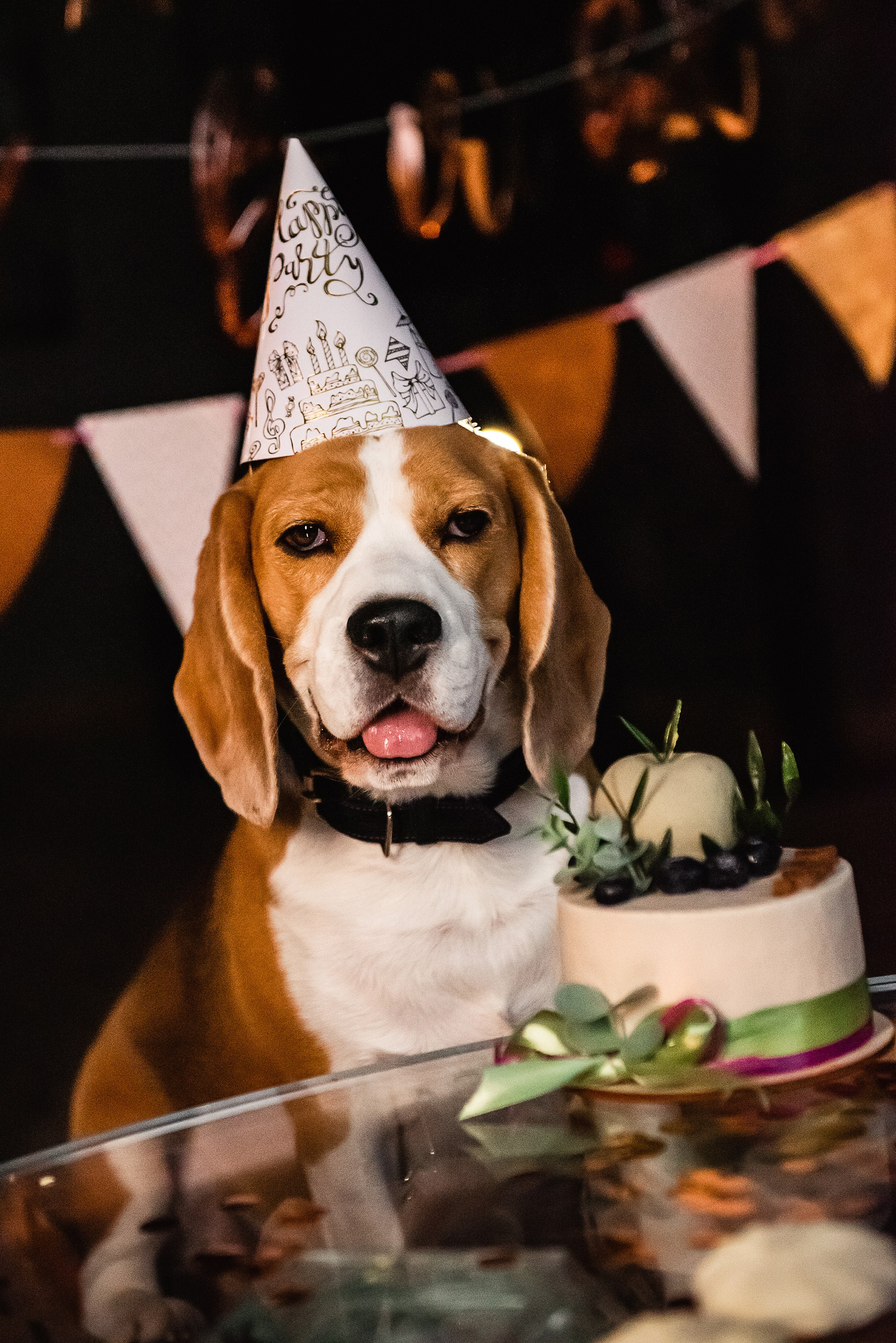 День рождение Дарси. Семейный Фотограф в Москве Ирина Хохлова