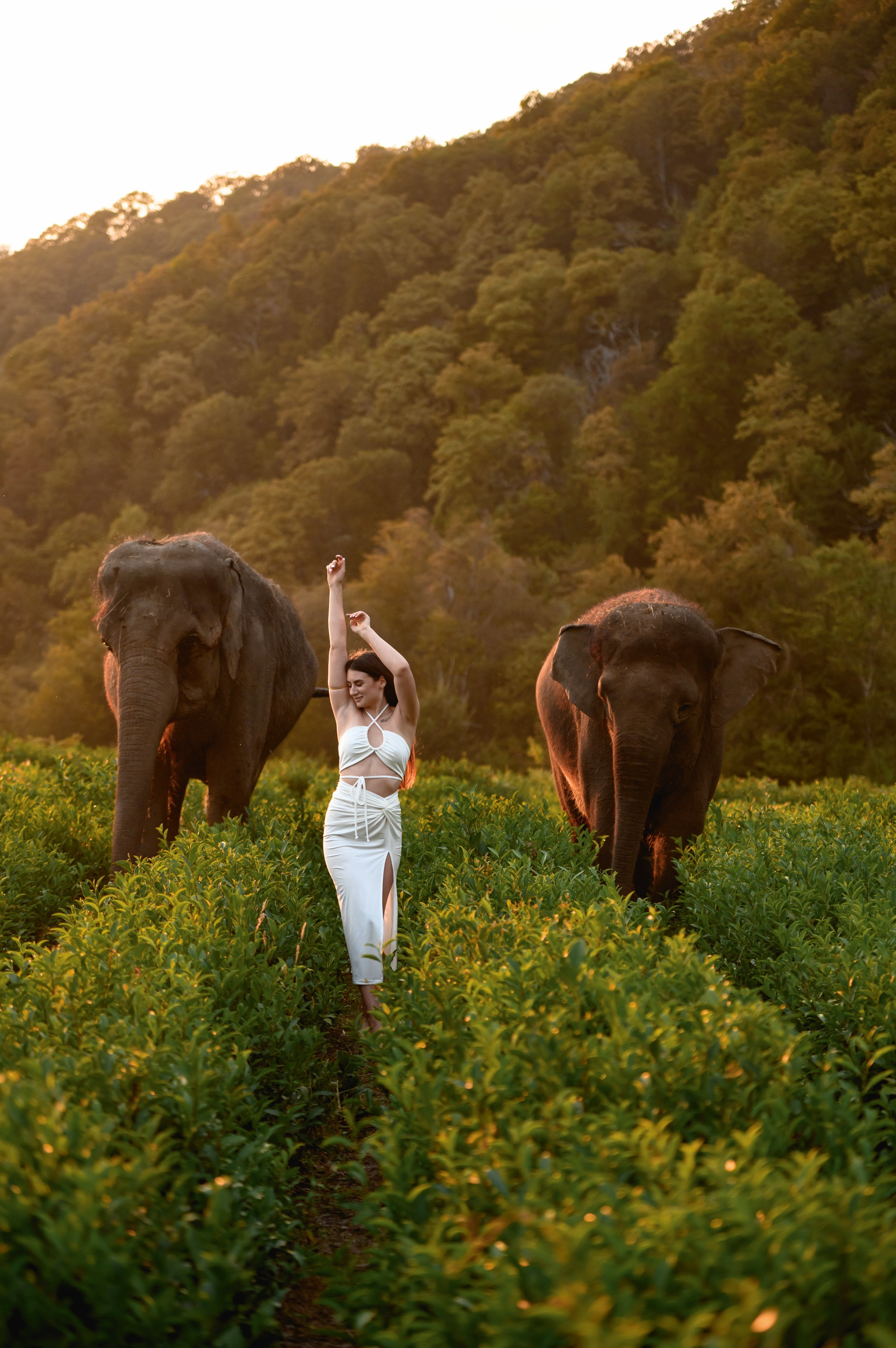Ангелина и Вячеслав. Фотограф в сочи Свадебный фотограф Сочи