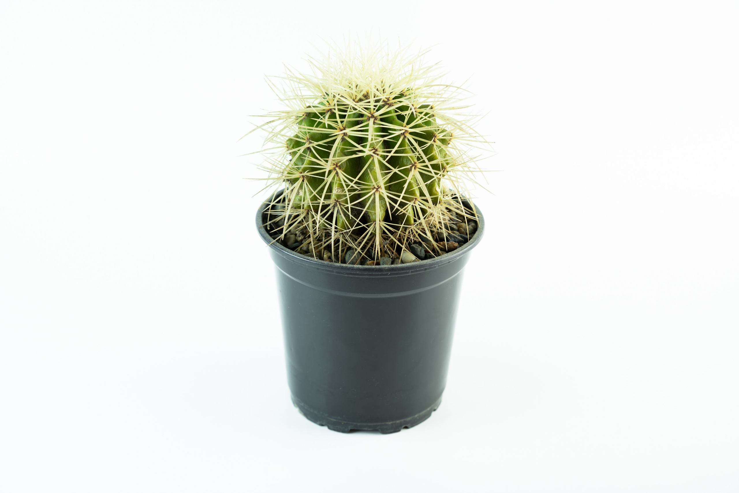 Предметная съёмка для маркетплейсов и каталогов