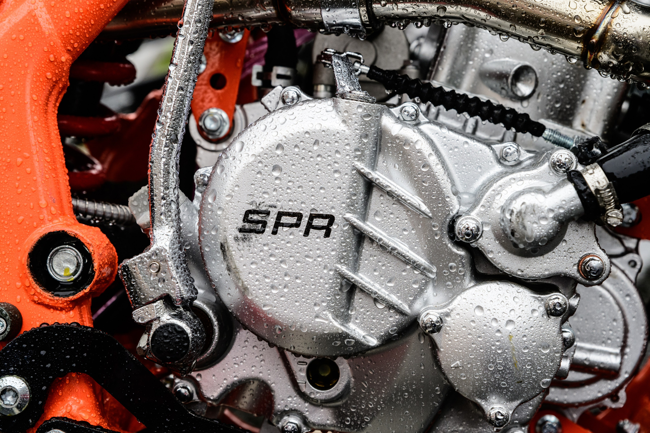 Автосалон 2026 SPR Motors. Репортажный фотограф во Владивостоке Таня Терехина