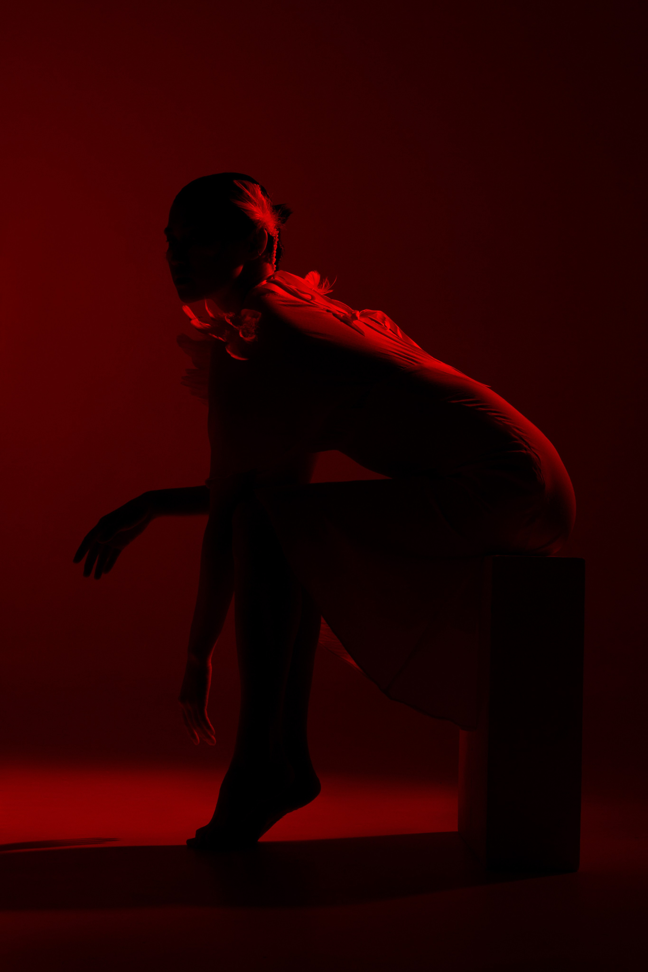 Black swan. Oyallu.ru