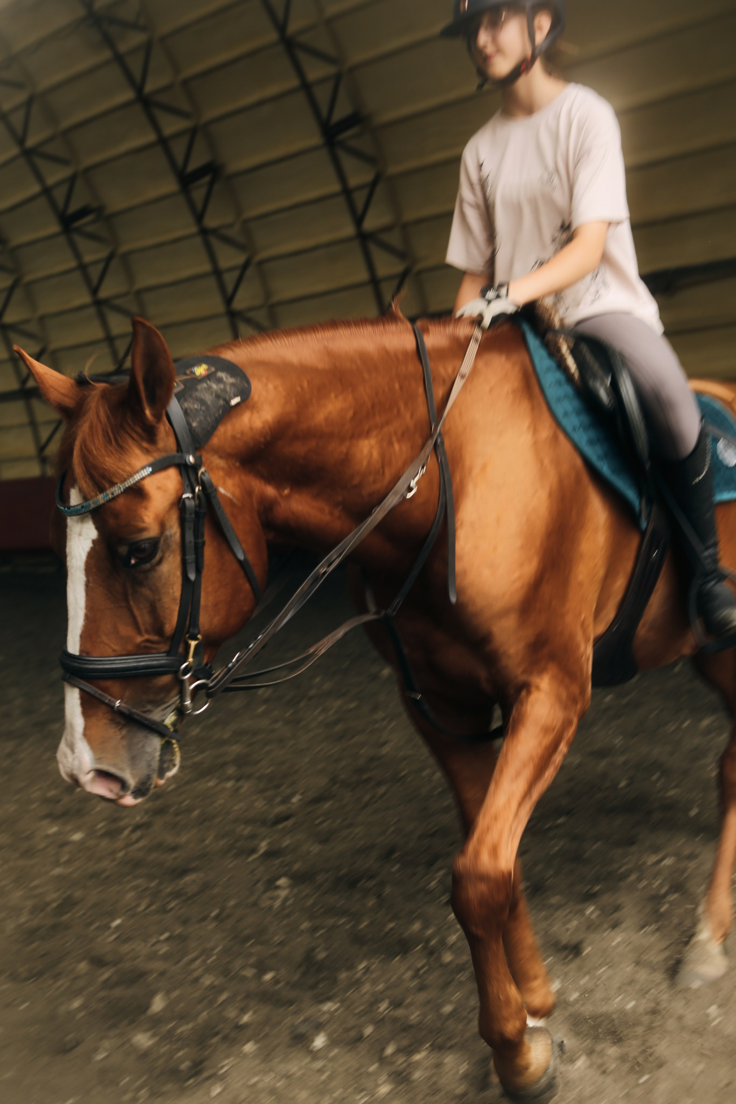 In a horse club NIMB. Фотограф Антонина Гудкова