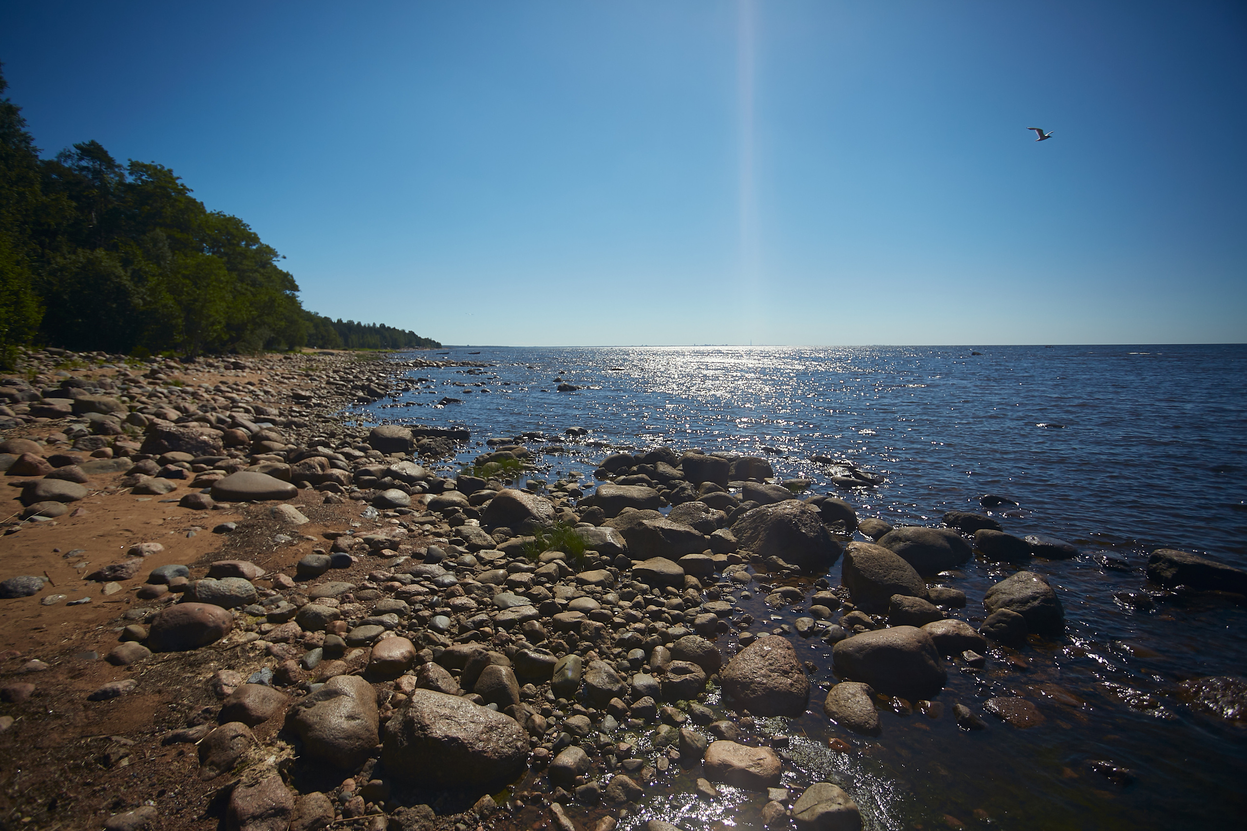 Фотосессия для гитариста. Telesh media production