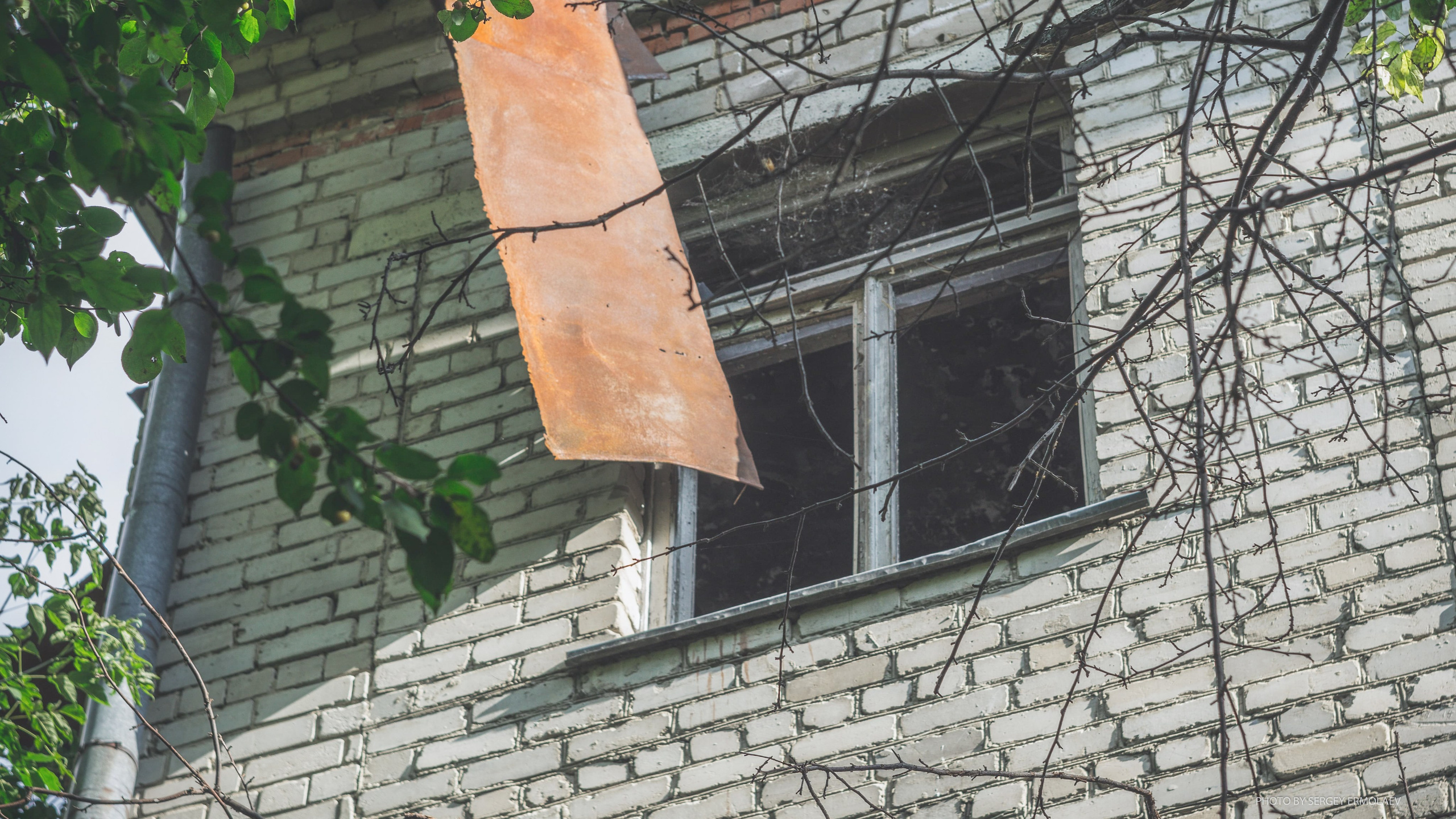 На тропах старинного парка