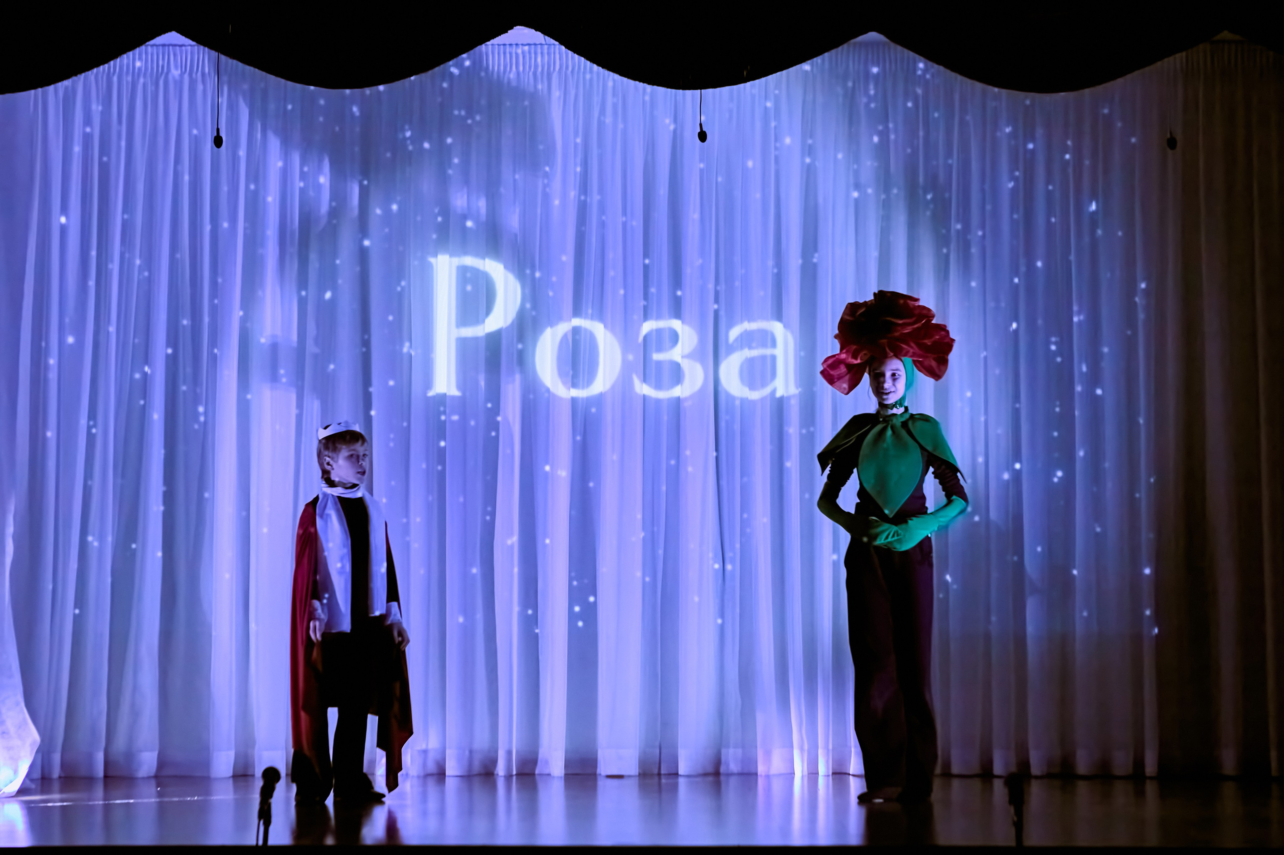 Фотографии с премьеры Маленький принц