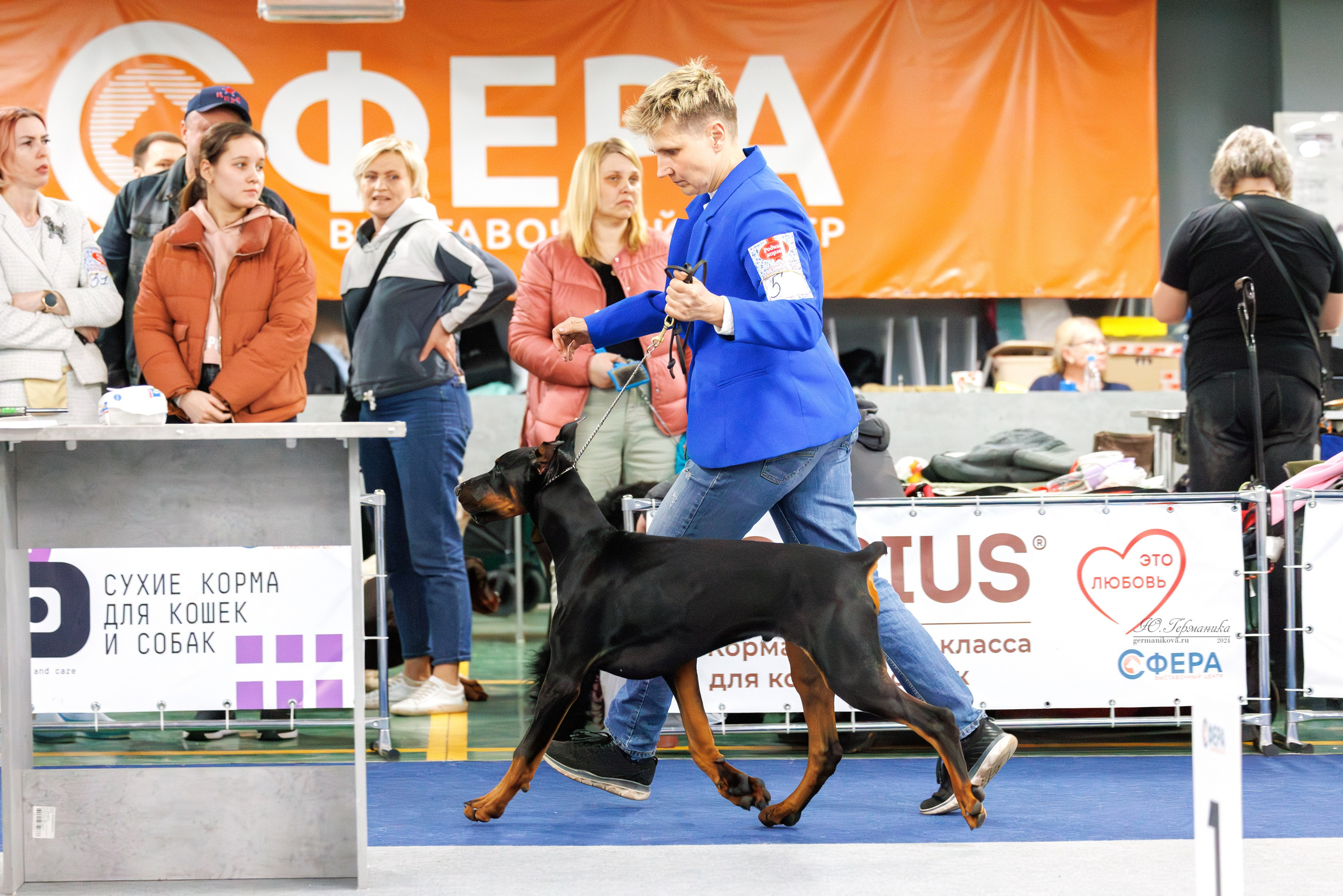 Сфера и Крокус 8,9,16 и 30.03.2025. Фотограф-анималист Юлия Германика