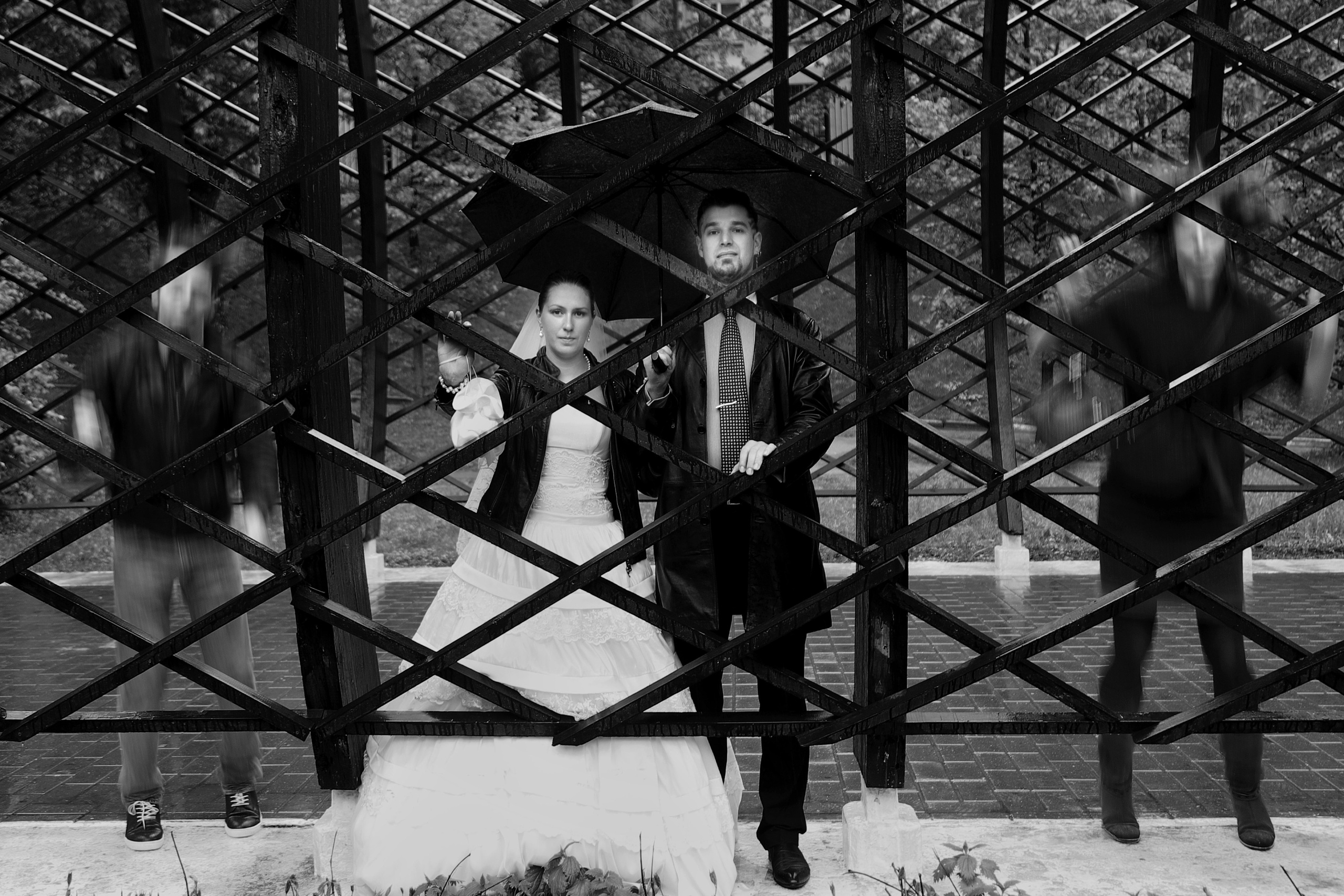 Свадьбы. Фотограф Лагутин Анатолий