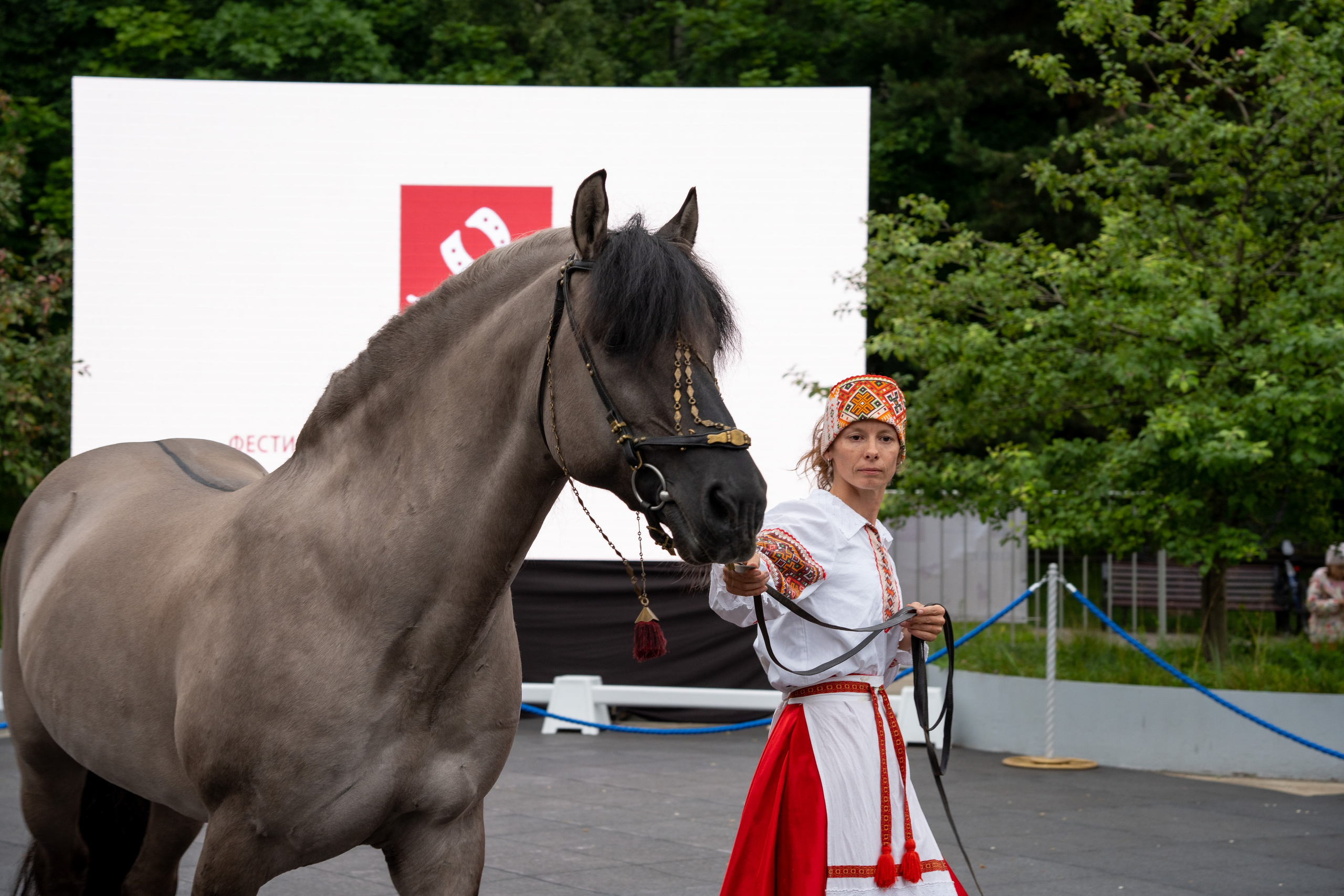 Животные. Фото, видео, монтаж