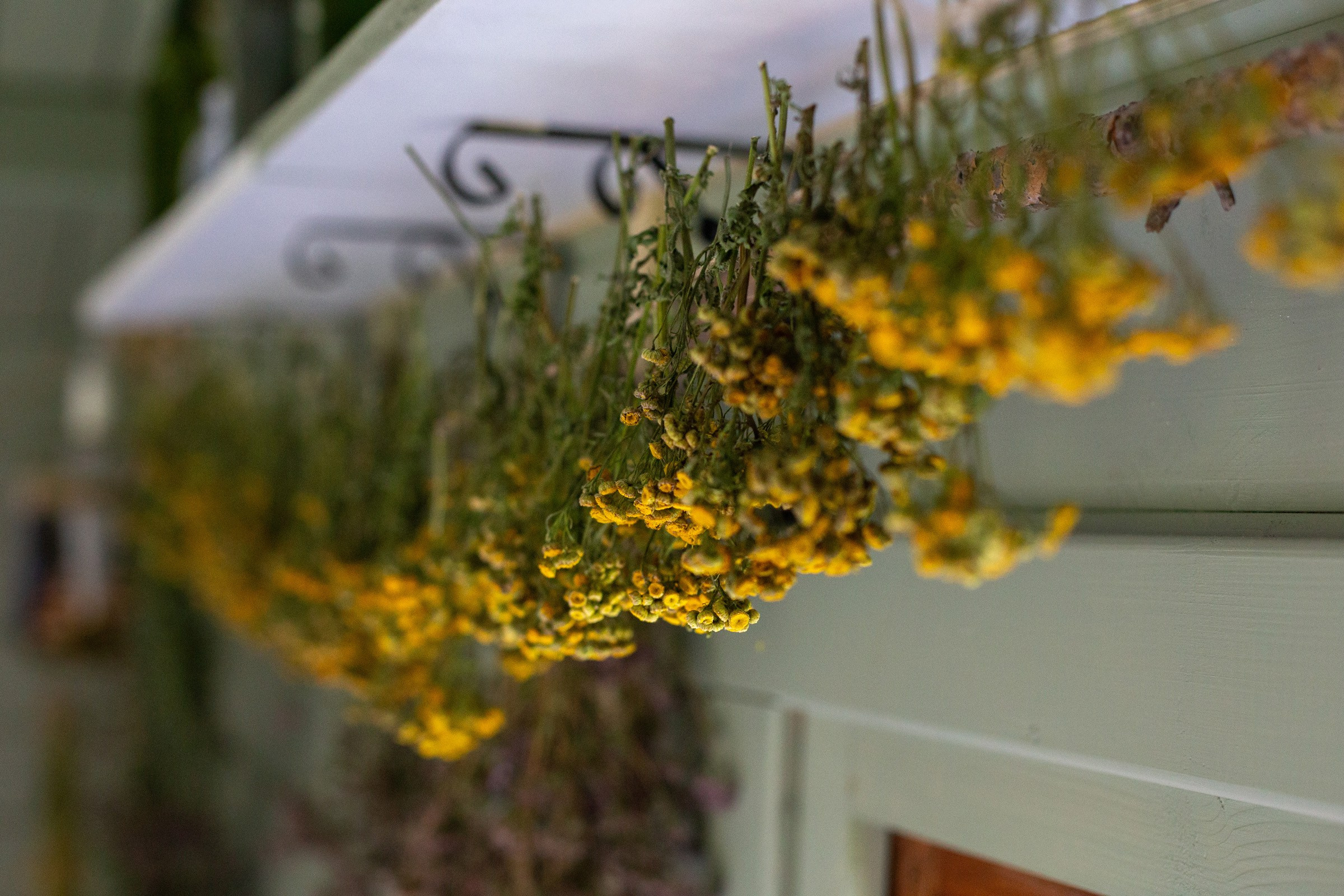 Сердце для любимого. Семьи, портреты, школьные съемки. Фотограф Лагутина Елена. Москва