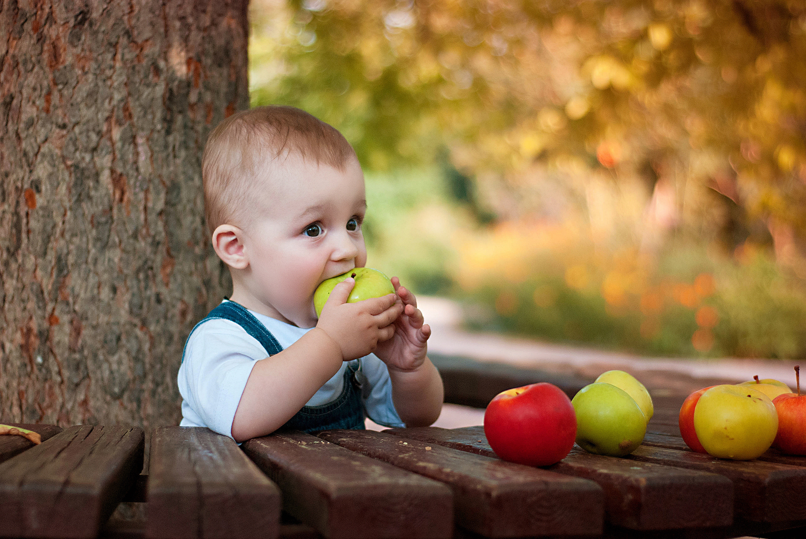 Фотосессия. Детский фотограф Севастополь, Крым. Фотограф Севастополь, Крым. Детский и семейный фотограф в Севастополе