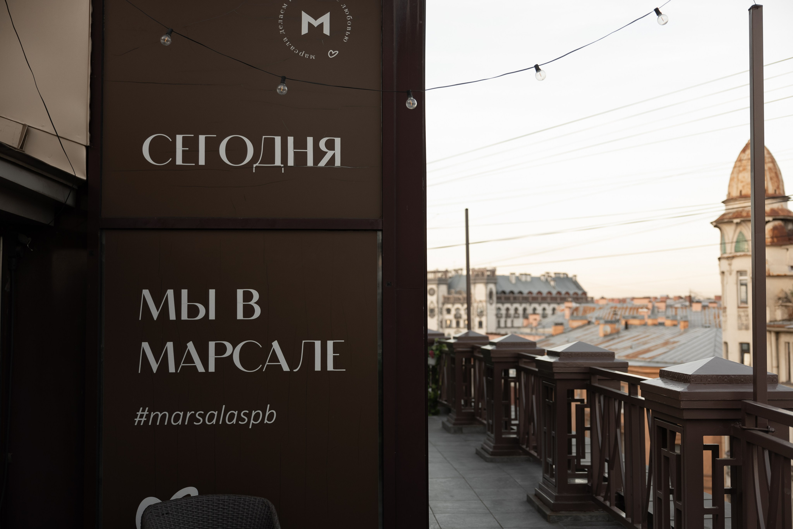 Серая кошка и рыжий кот. Свадебный и семейный фотограф Арина Кулёва