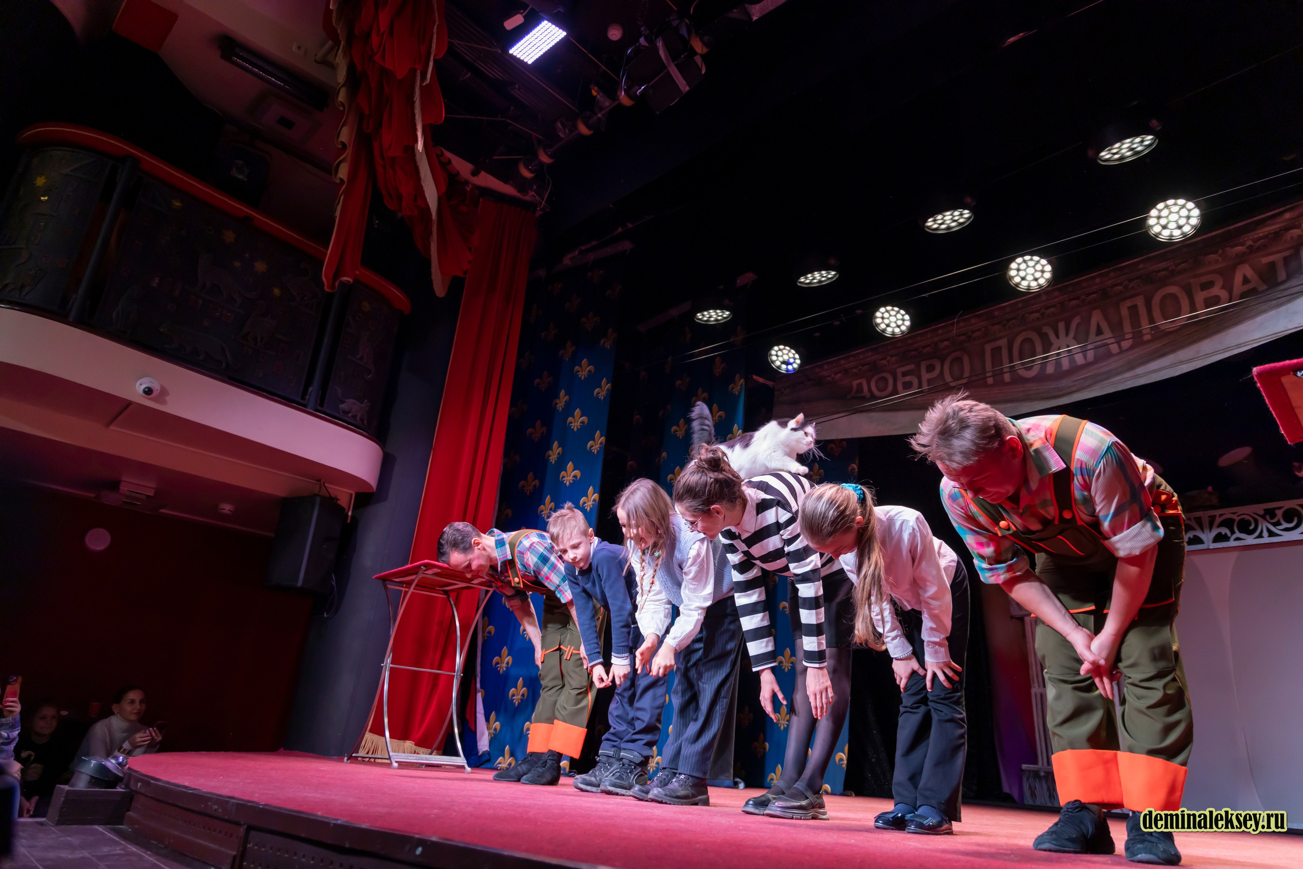 Театр кошек Куклачева 26 февраля 2025. Репортажный, семейный и студийный фотограф в Москве Демин Алексей