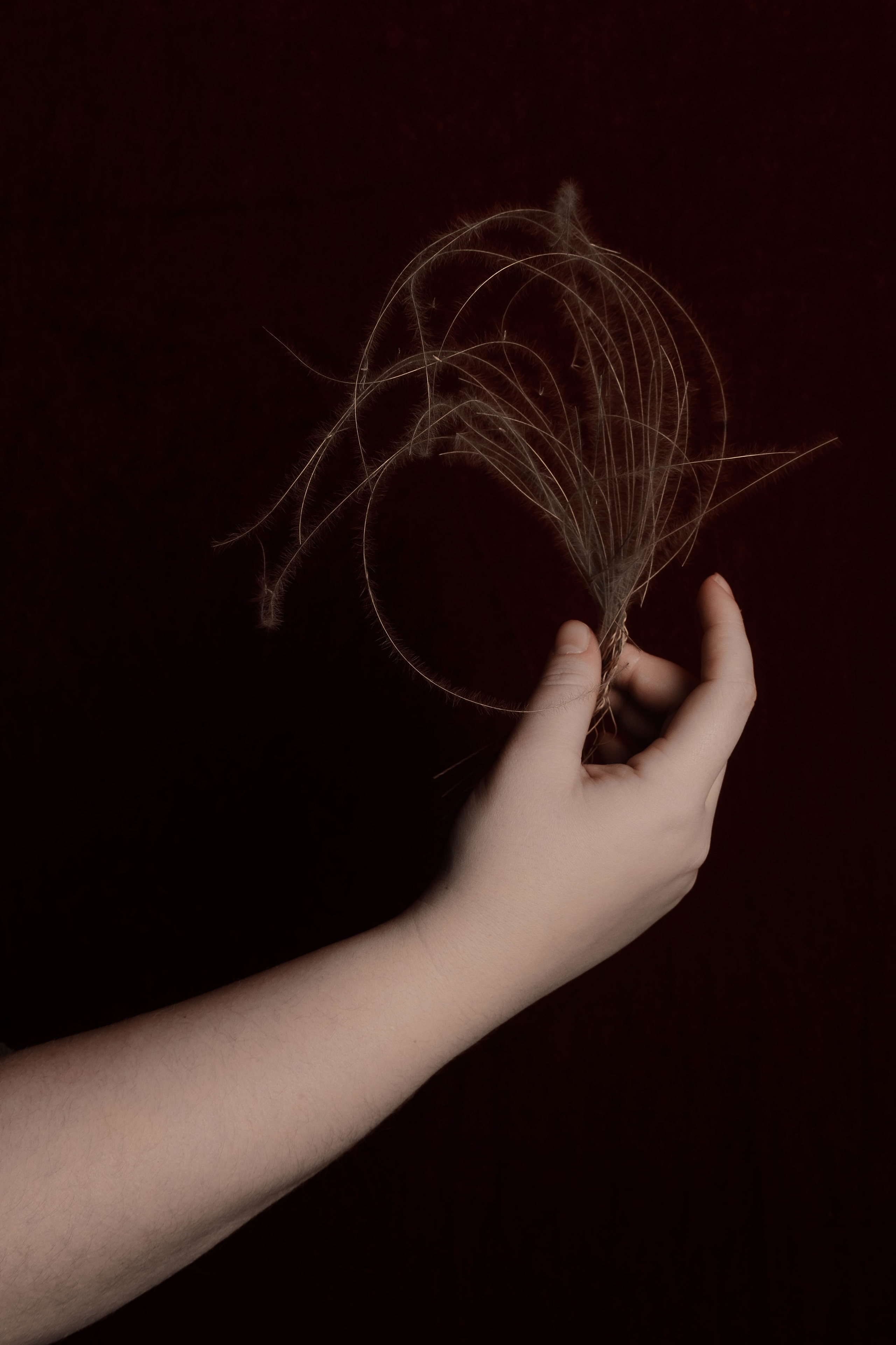 Лиза. Женский фотограф Татьяна Ветер. Работаю в Волгограде