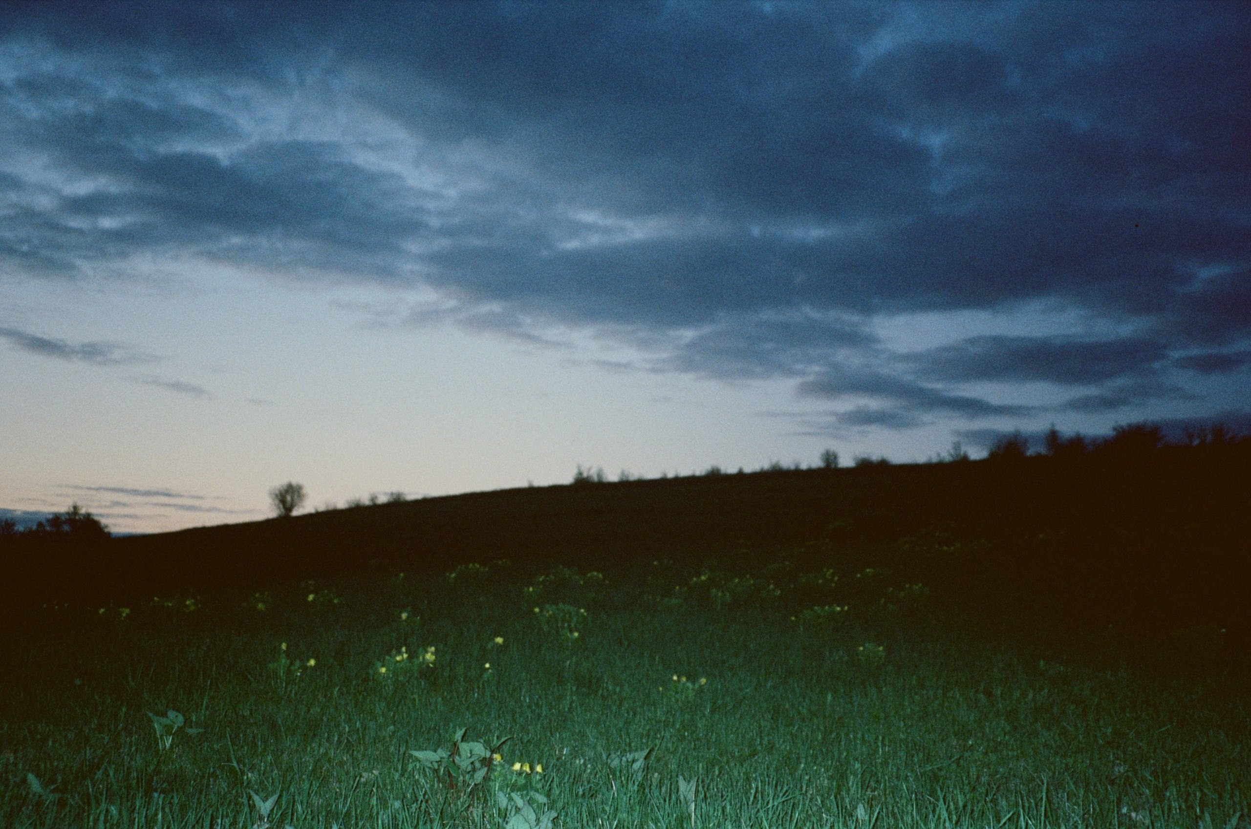 Пленка | 35 mm. Надточиев Сергей. Фотограф Воронеж