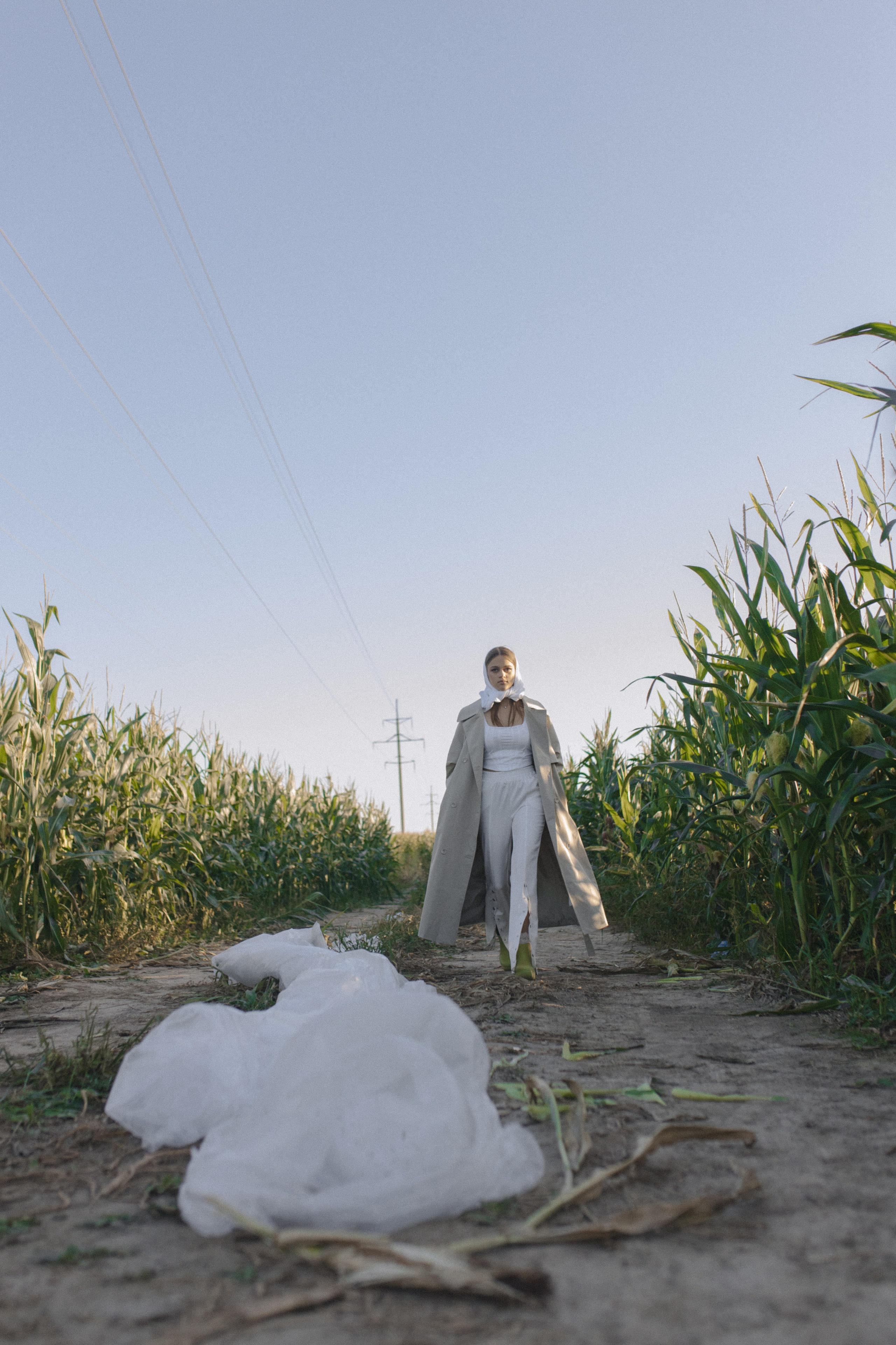 Любовь нашла в кукурузе