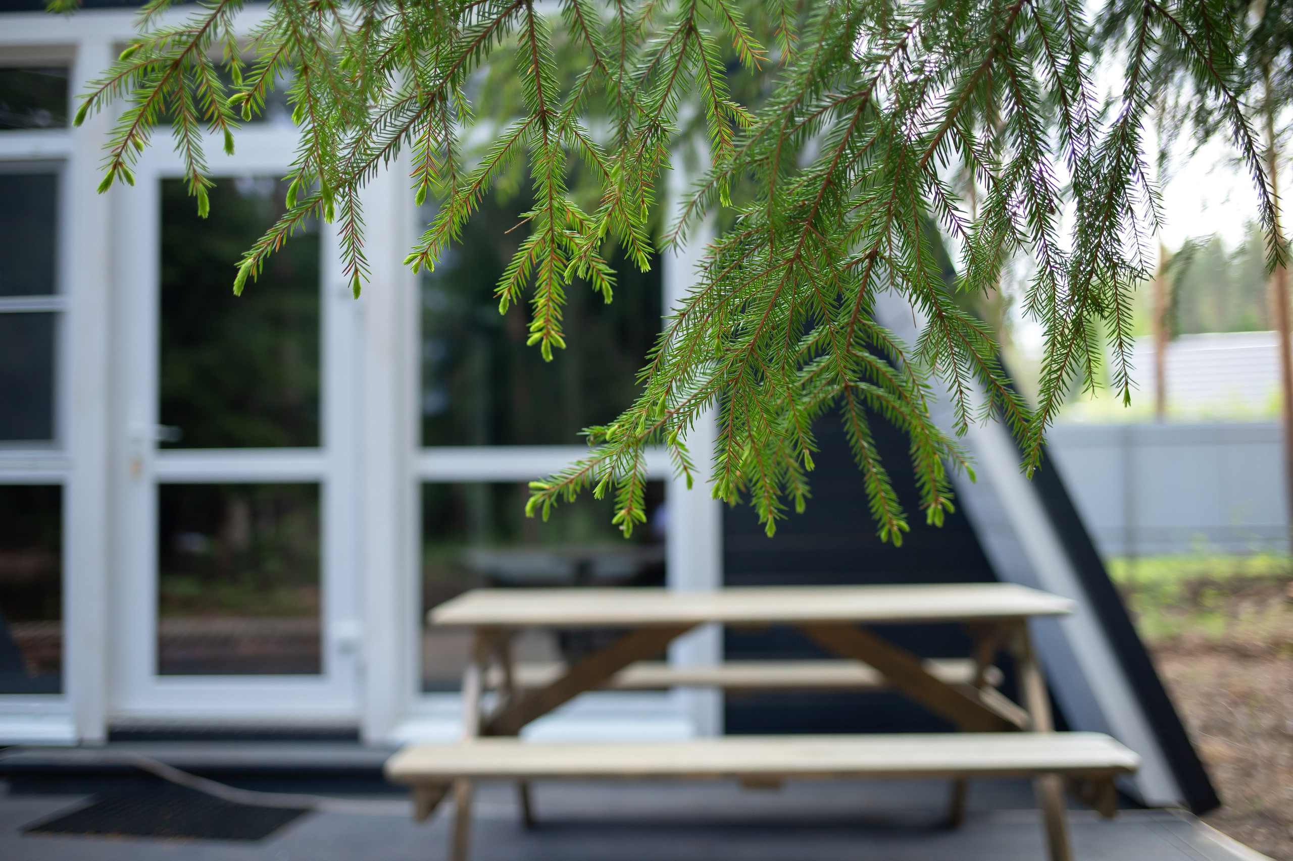 База отдыха Тосненский район ЛО. Фотограф недвижимости и контент-съемки в СПб