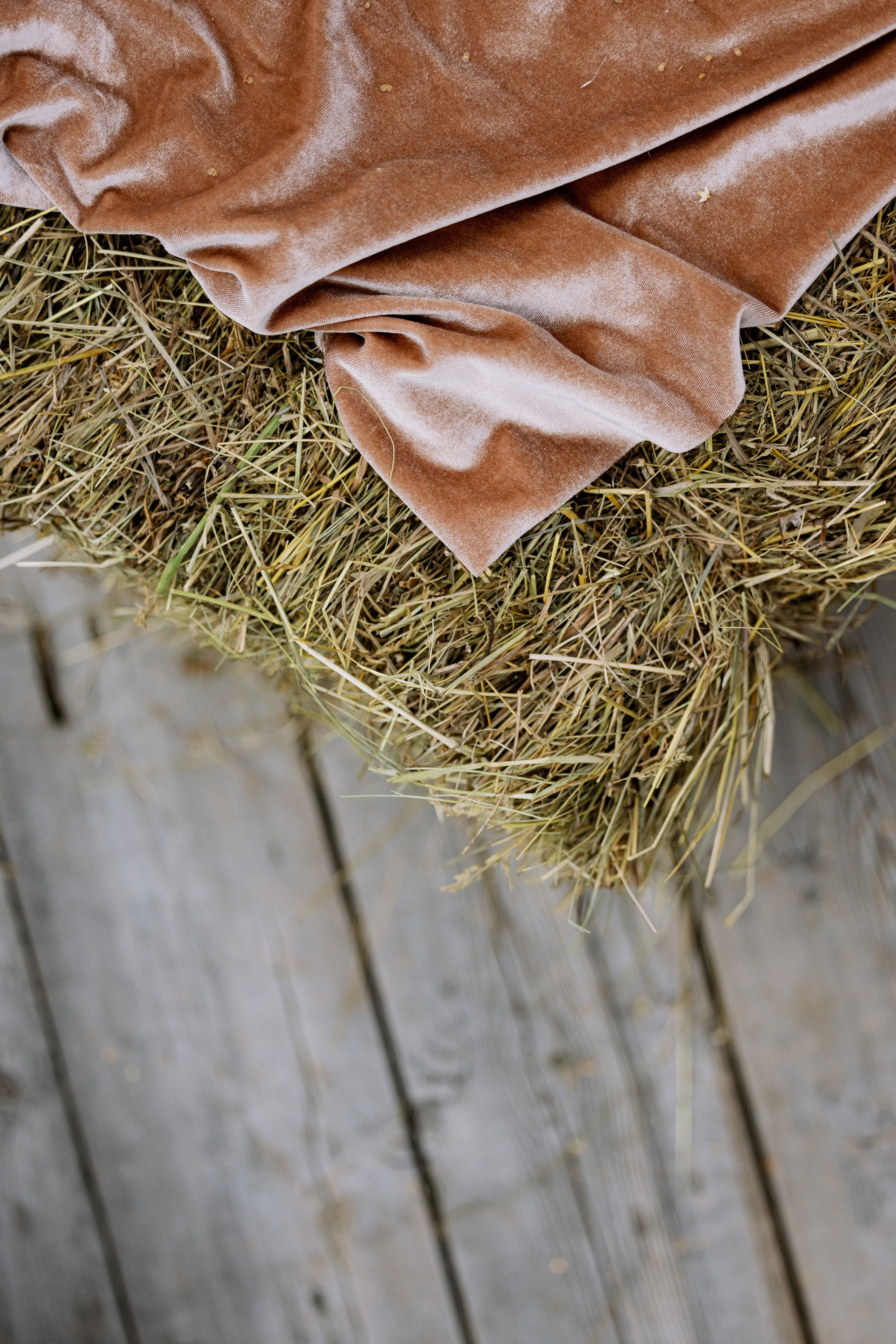 10.08.2023 Дмитрий и Виктория. Фотограф в Красноярске
