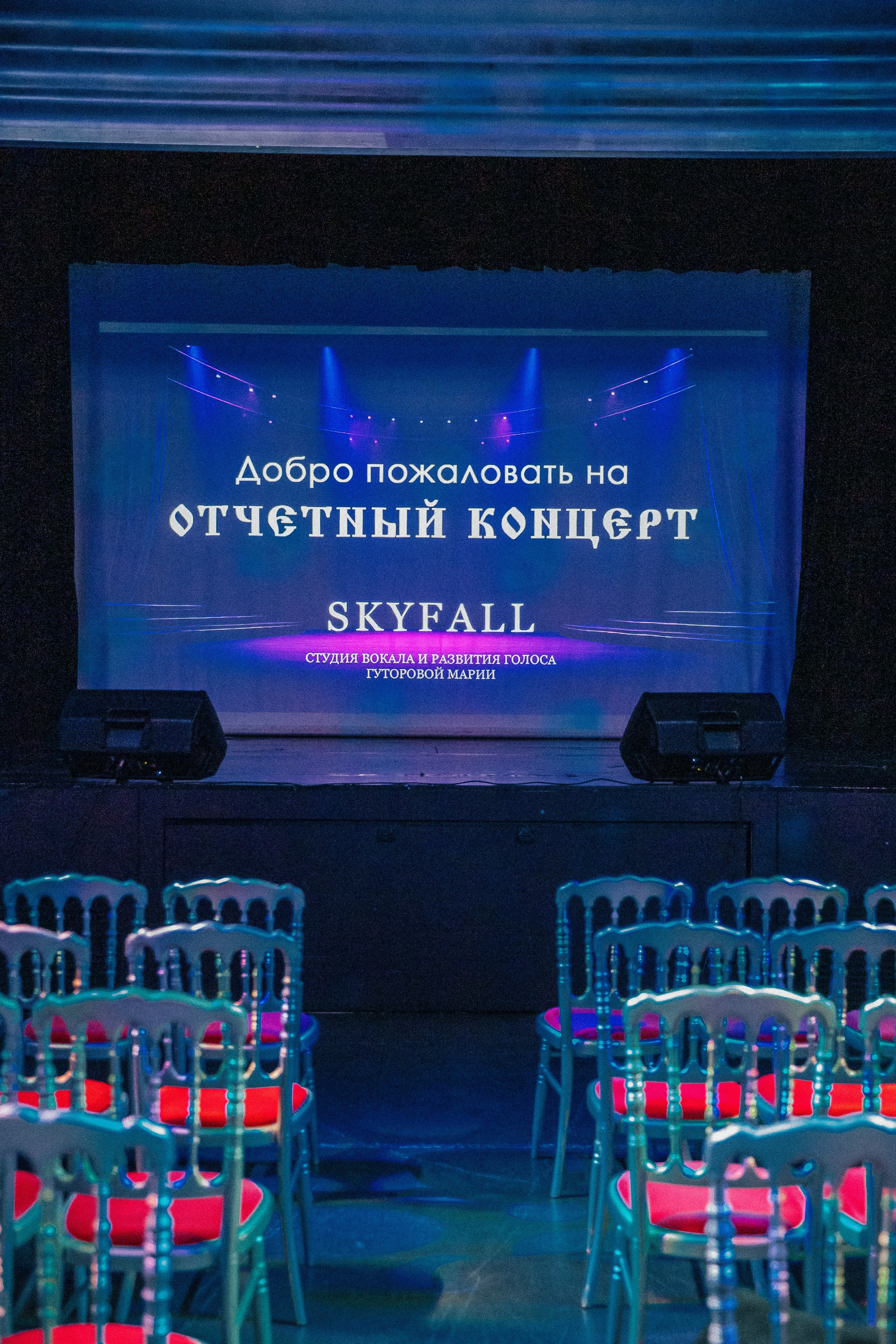 Skyfall — новогодний концерт. 