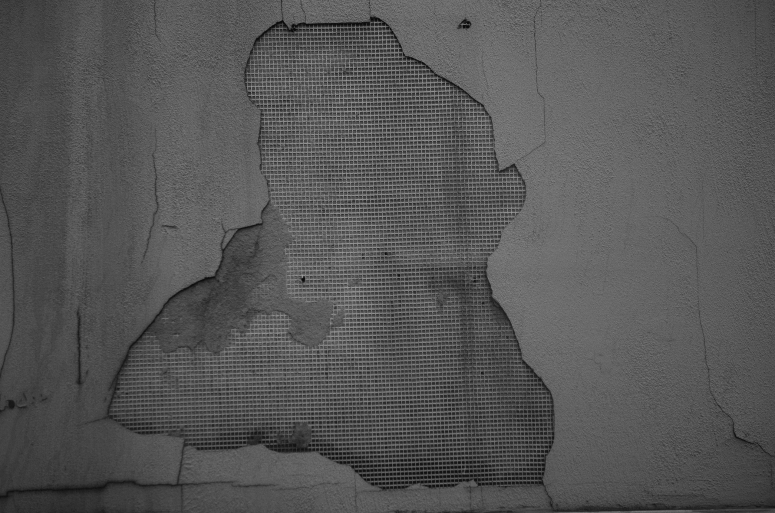 «П.ДД.Н». Fedor Kalinin