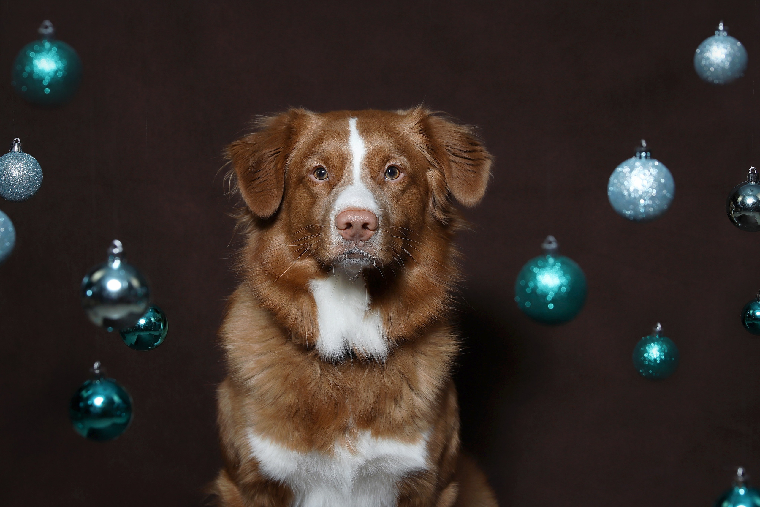 Ричард. Юлия Микульская. Рыбинск