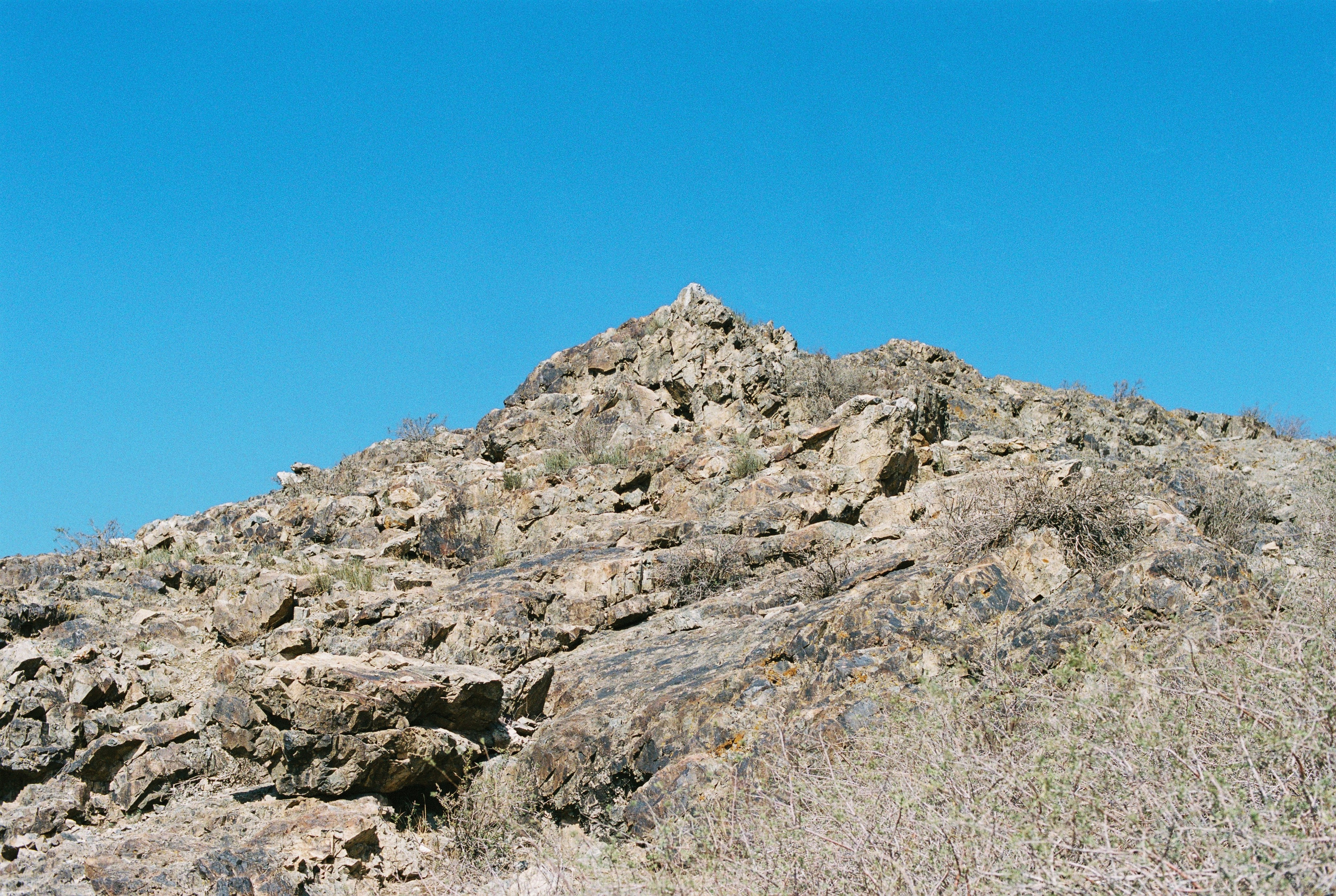 Алтын эмель/Или/Курты, плёнка 2025. Фотограф в Алматы — Алексей Коньков | Репортаж, свадьбы, портреты