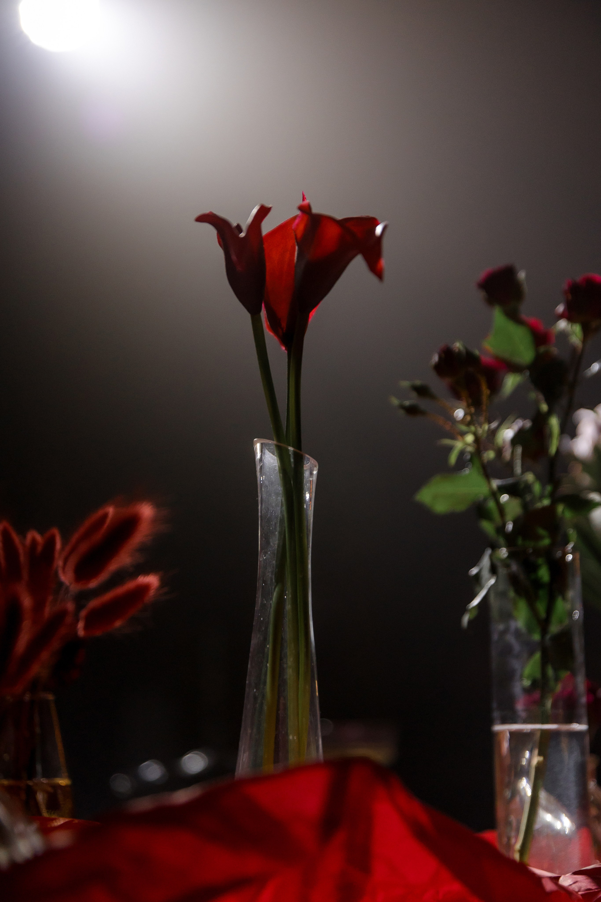 Evening wedding. Свадебный и семейный фотограф Динар Гильмутдинов