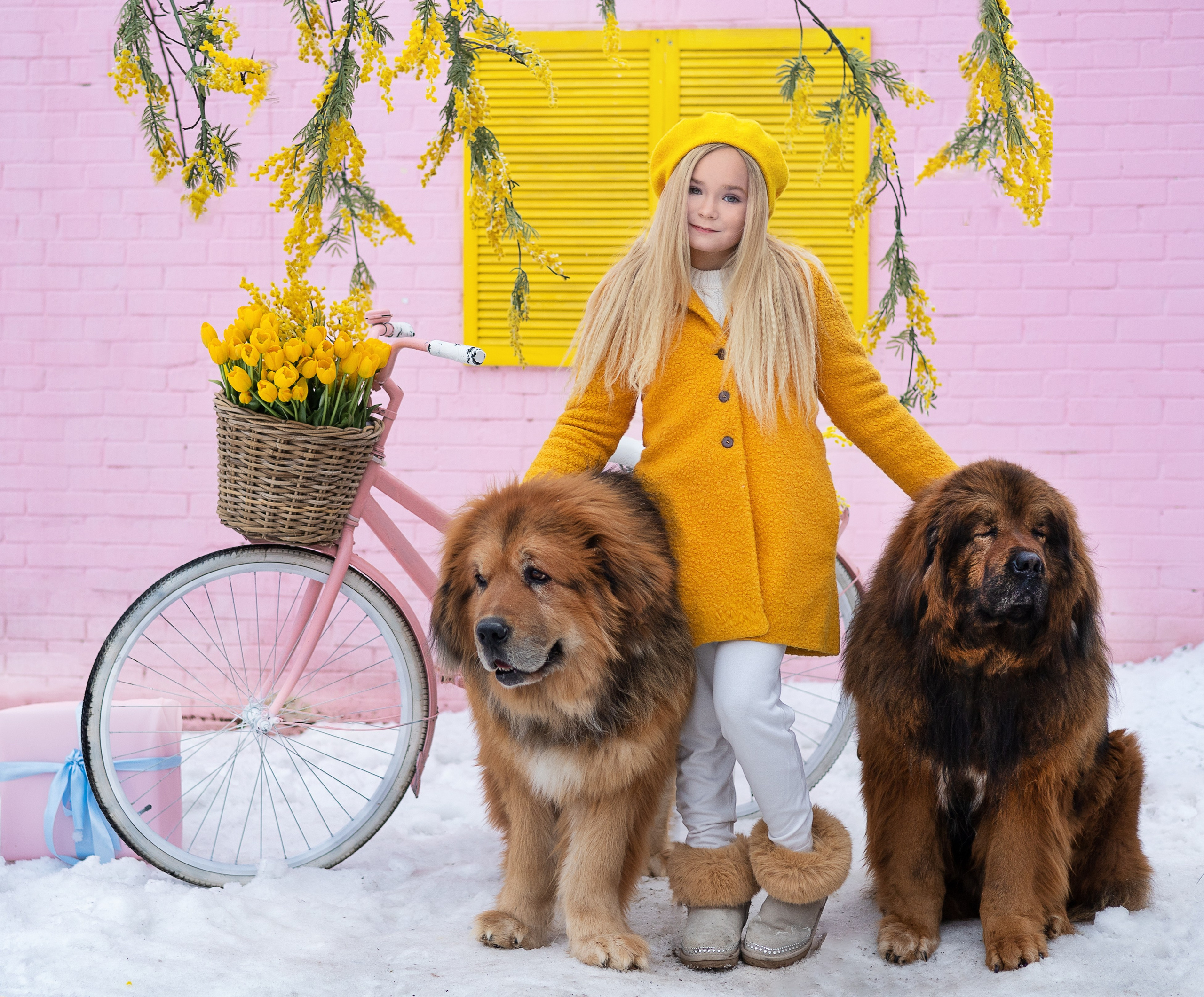 Детские съёмки. Фотограф Юлия Ревищина